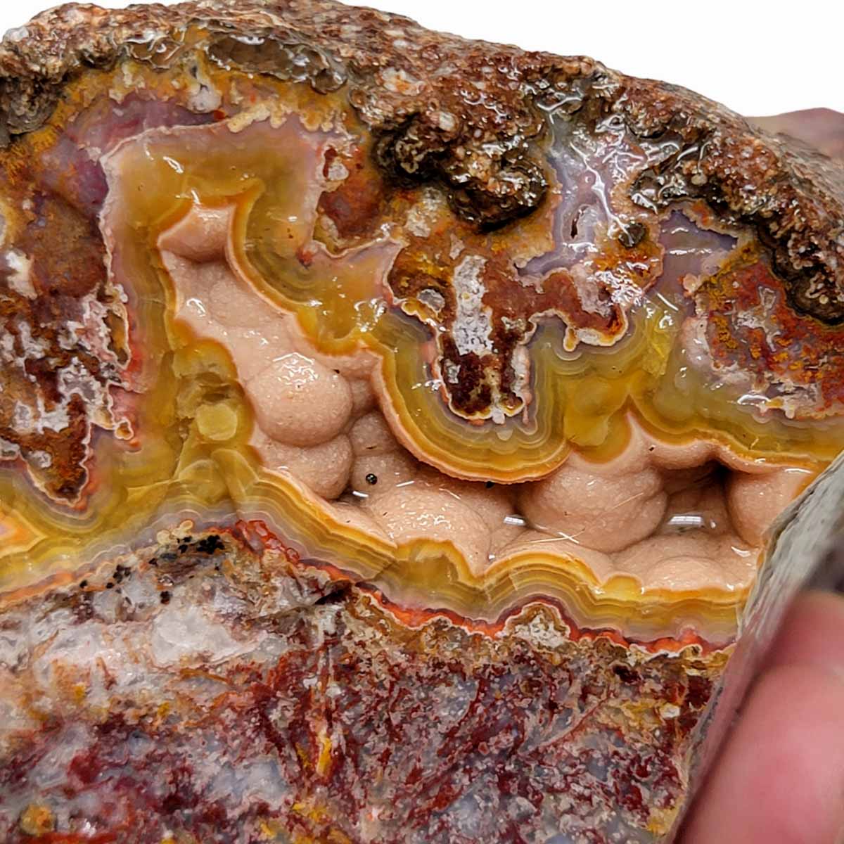 Agua Nueva Agate New Water Agate Rough Chunk!