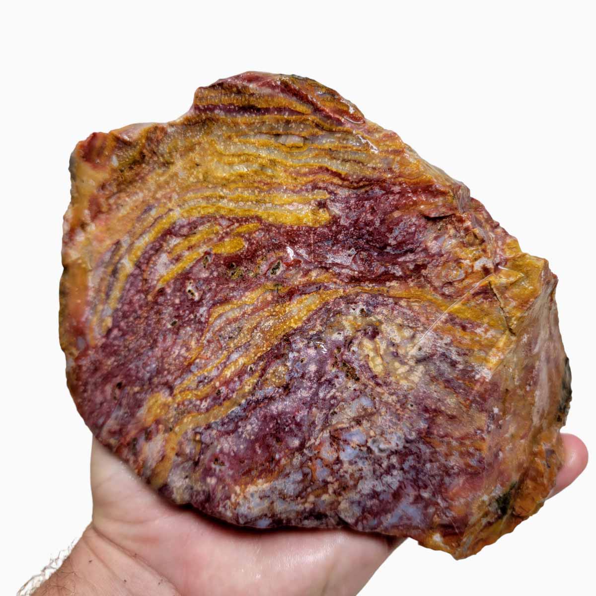 Agua Nueva Agate New Water Agate Rough Chunk!