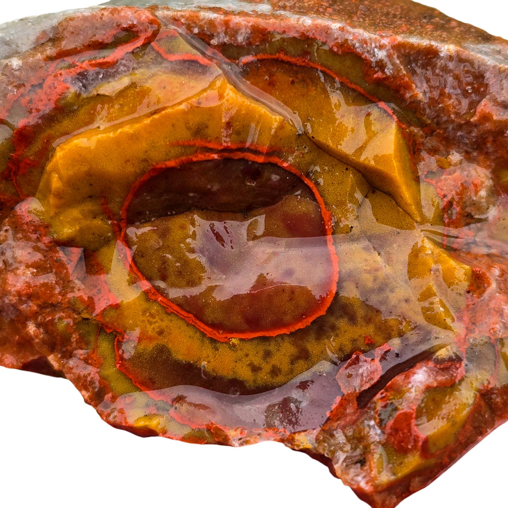 Alabama Paint Agate Rough - Bright Red Orbicular Nodule Specimen #R933-1