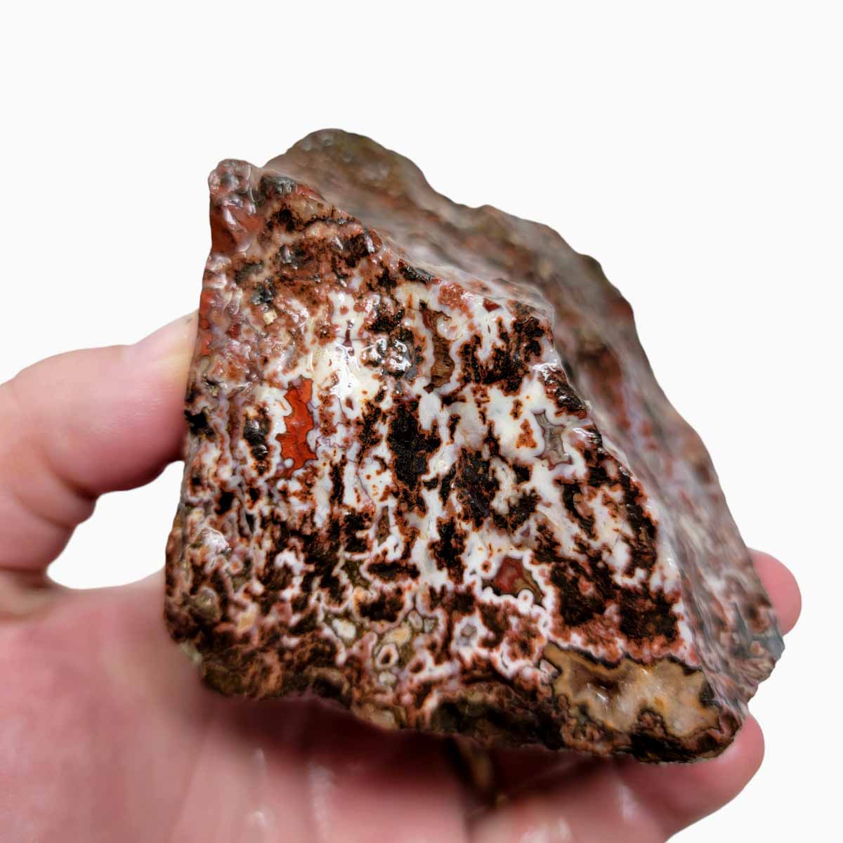 Apple Valley Agate with Plume Rough Chunk!