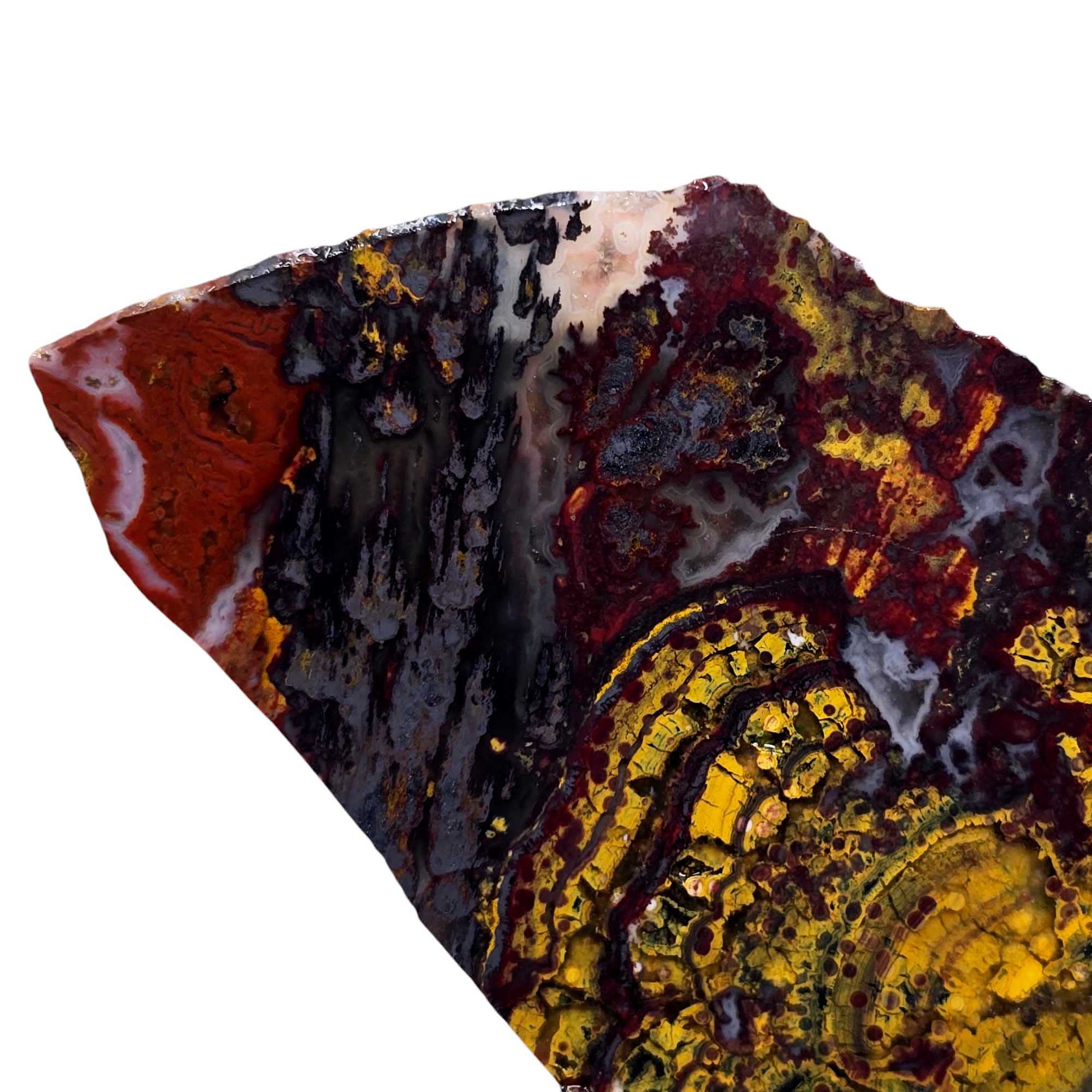 Apple Valley Jasper Slab Fossil Stromatolite Lapidary Stone Slice Cut Rock