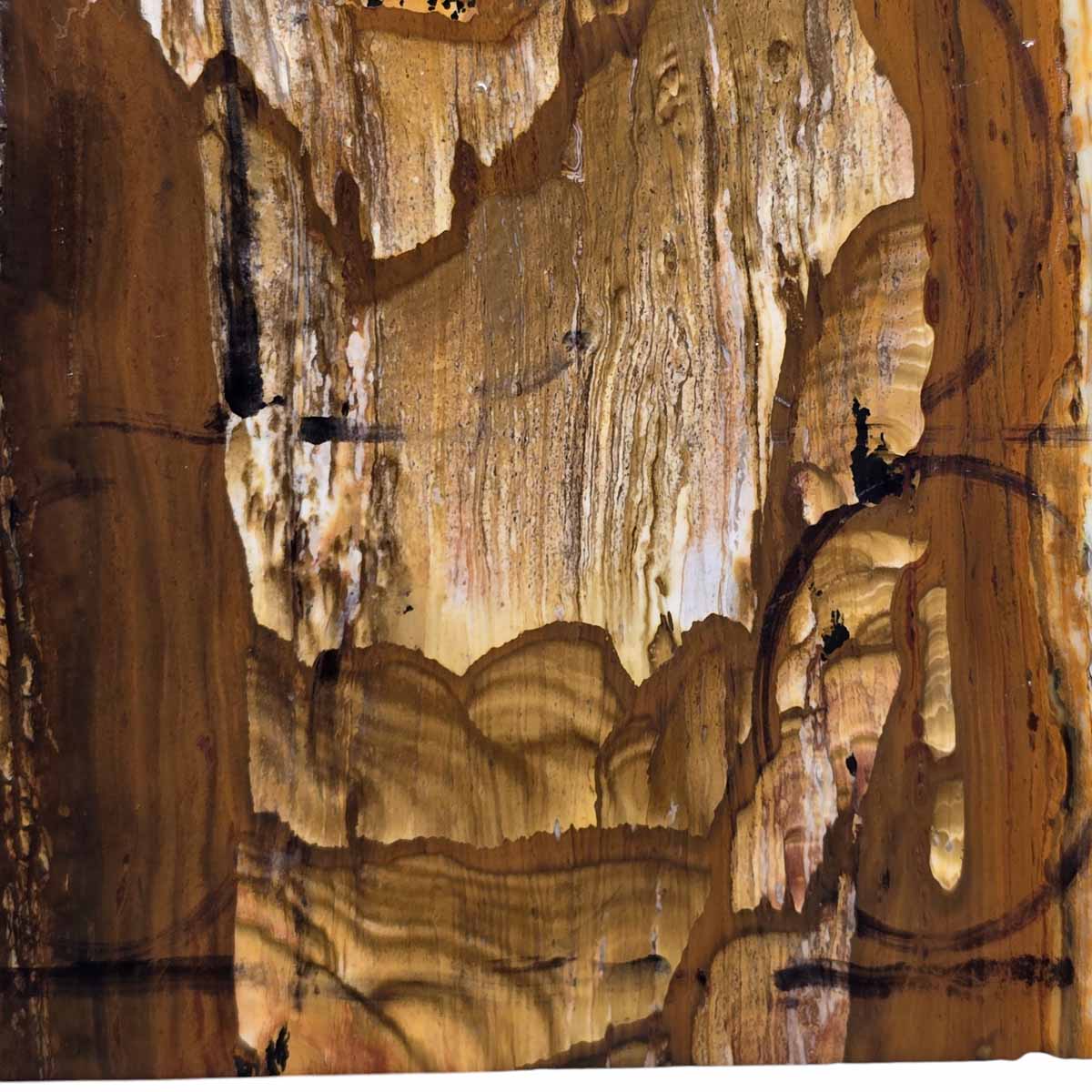 Old Stock Biggs Picture Jasper Slab Lapidary Stone Slab