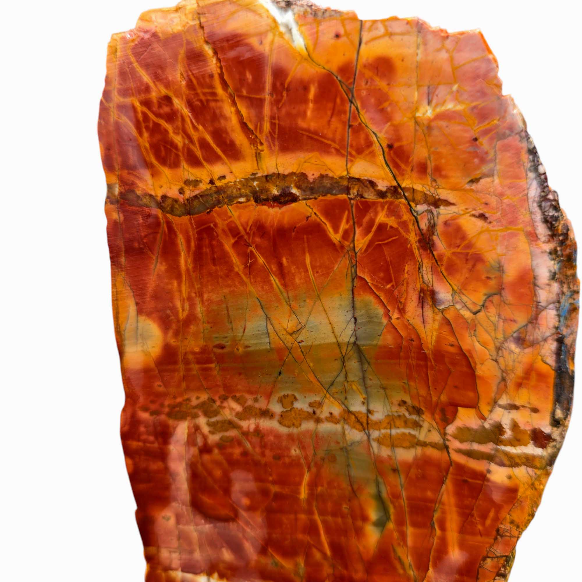 Cherry Creek Jasper Lapidary Cutting Rough Chunk Stone Cut Face