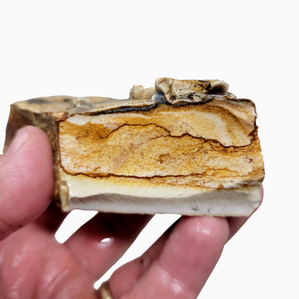 Chicken Track Picture Jasper Rough Chunk!