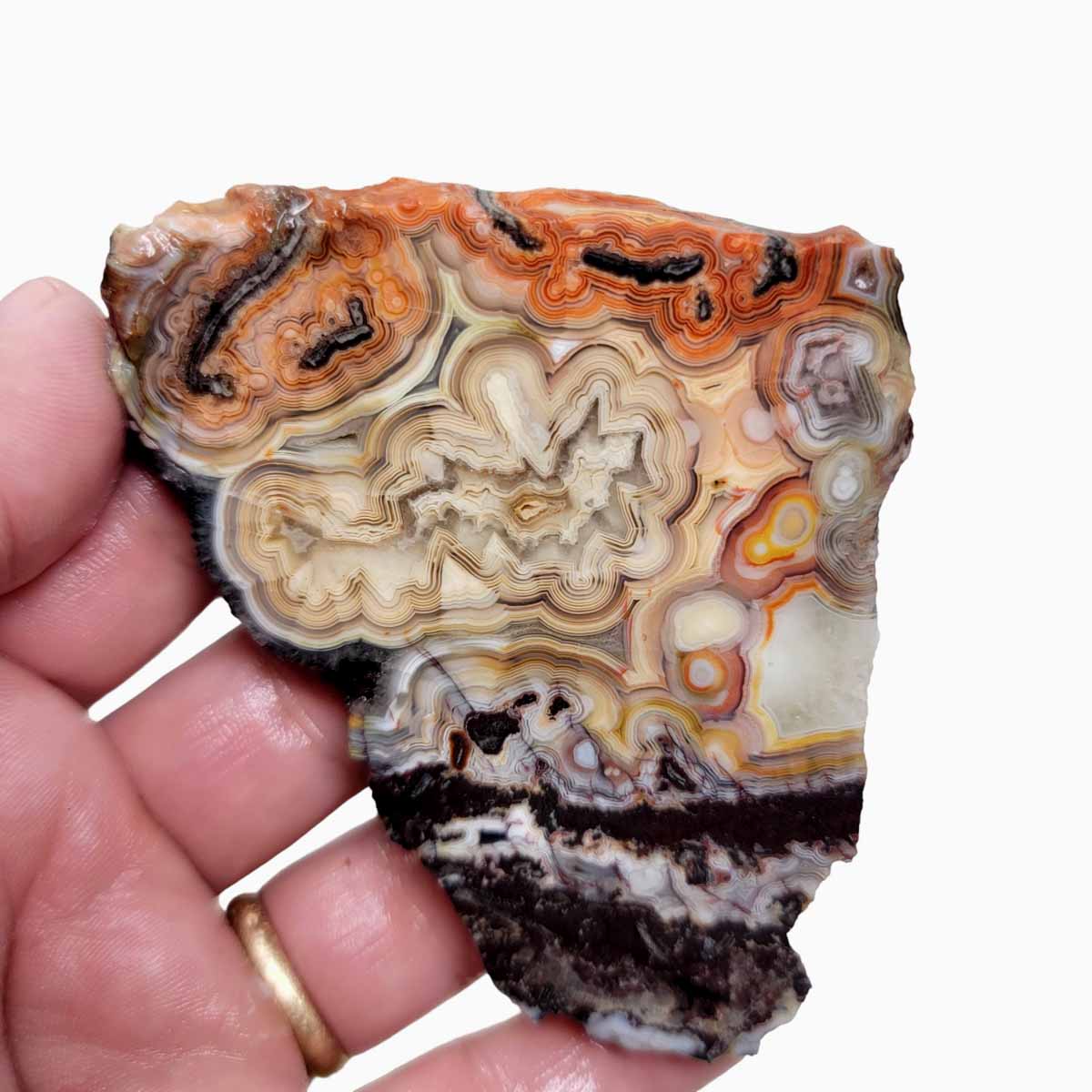 Crazy Lace Agate Slab! Lapidary Stone Slab!