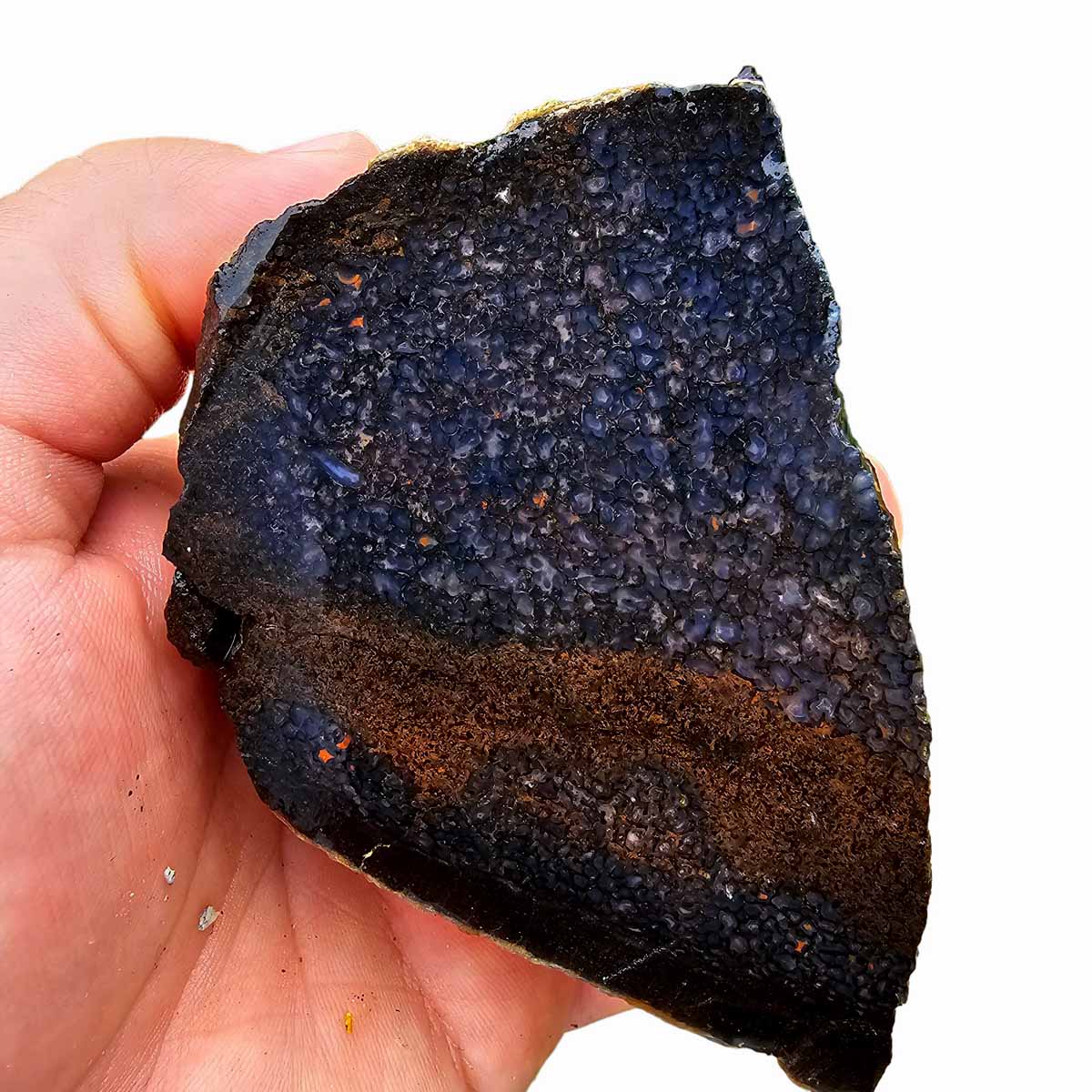 Fossilized Dinosaur Bone Rough Chunk - Blue Silicated Ancient Fossil #R689-Photo1