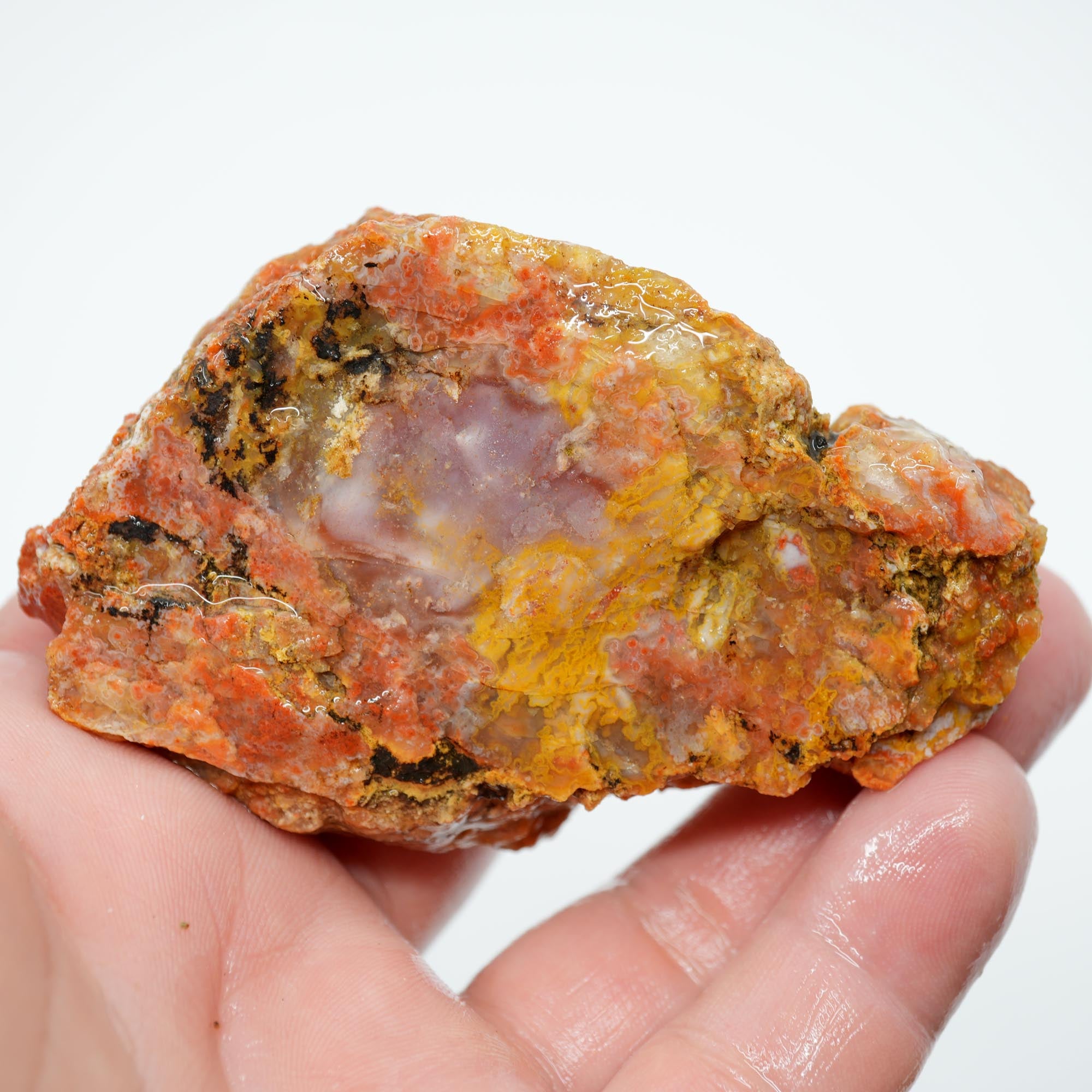 Alabama Paint Agate Rough - Bright Red Purple Gold Trimmer