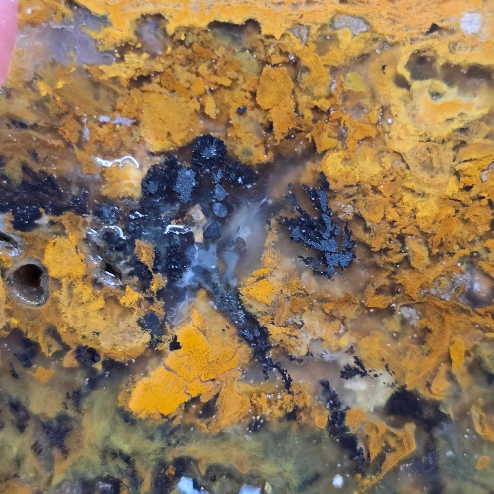 Eagle Rock Plume Agate Slab Lapidary Stone Slice Cut Rock
