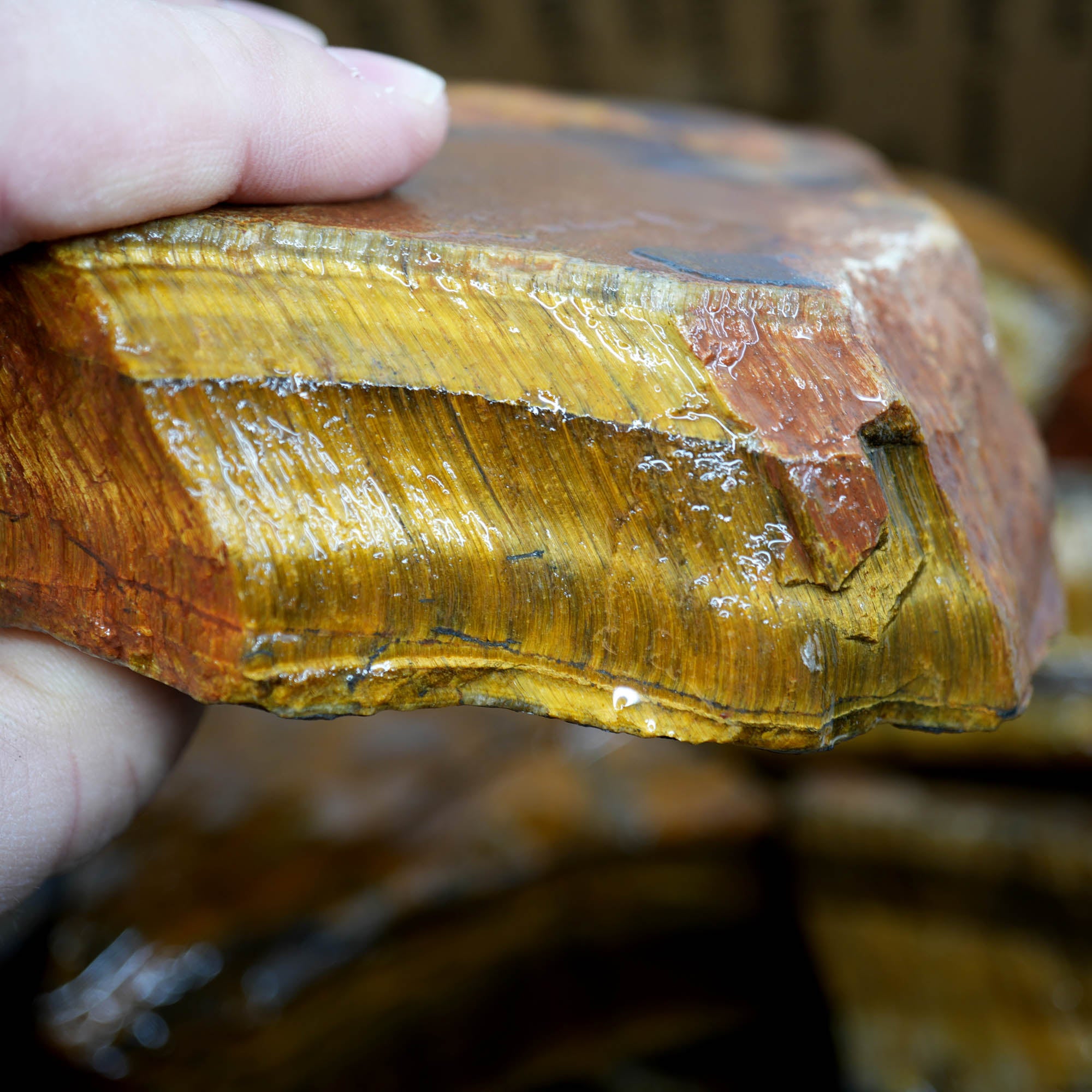 Golden Tiger Eye Rough Strong Flash Chatoyant Hawkeye Blue #F367-Photo1