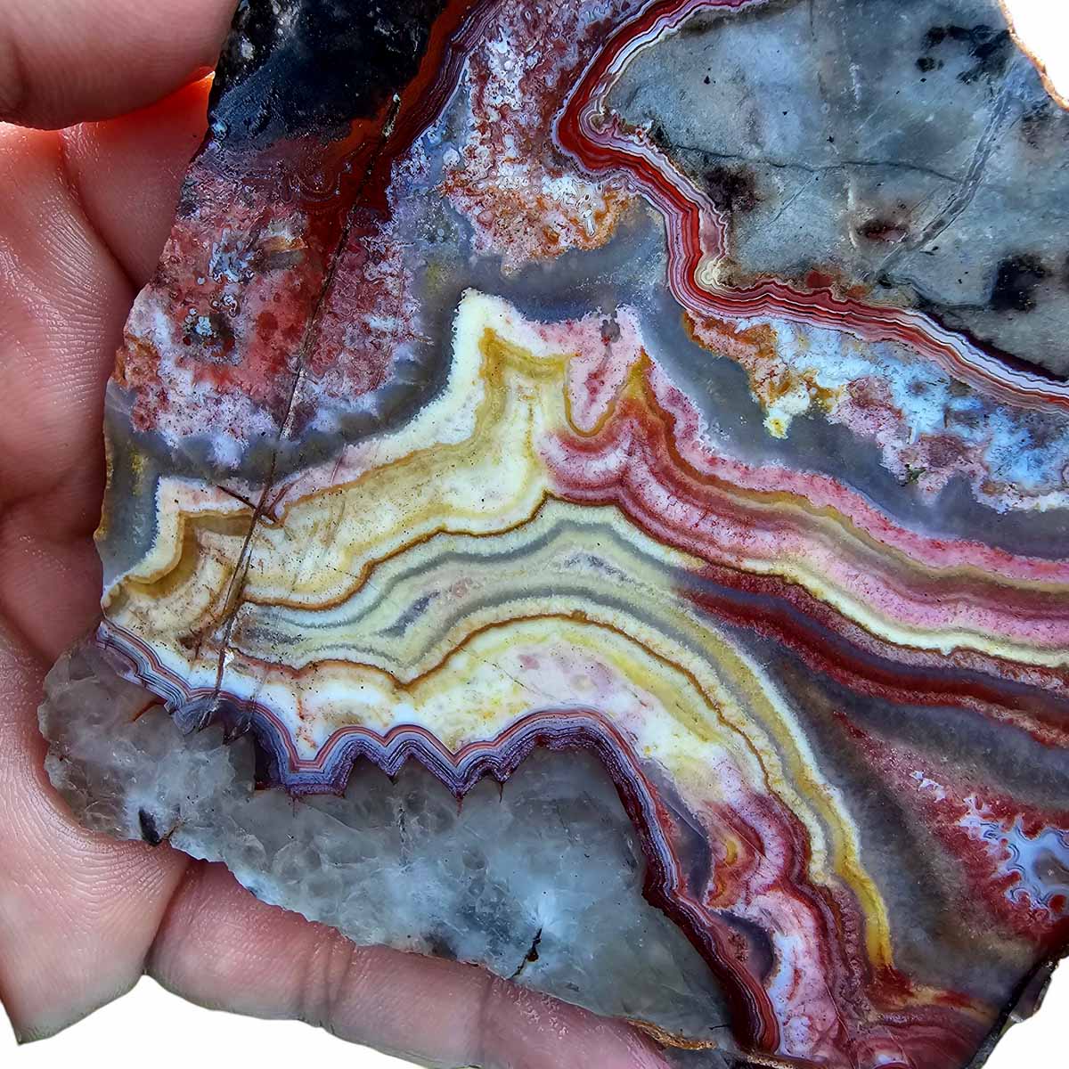 Flor de Durazno Flower of Peach Lace Agate Slab Lapidary Stone Slab