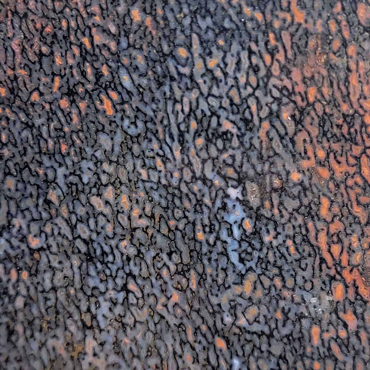 Gem Dinosaur Bone Slab – Authentic Silicated Fossil Remains! #3079-Photo1