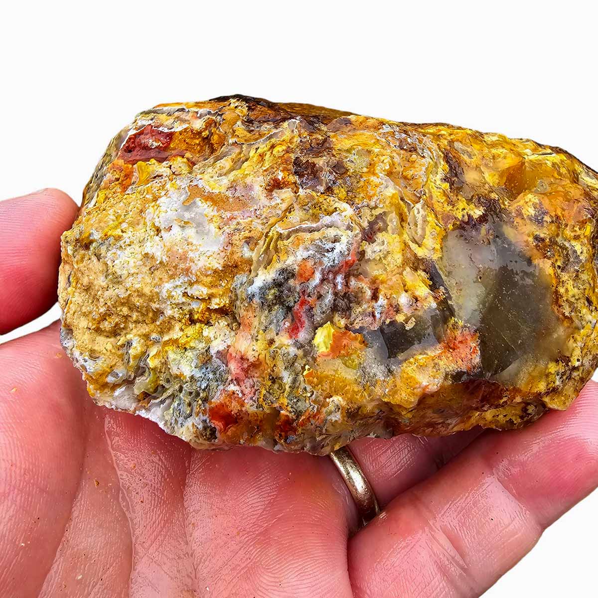 Regency Rose Plume Agate Lapidary Cutting Rough Chunk