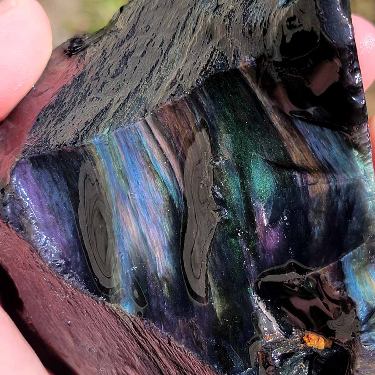 Mexican Velvet Obsidian Rough Chunk!
