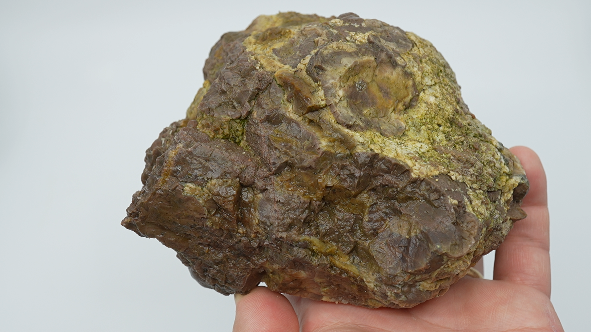 Mystery Thunderegg - LC-0054