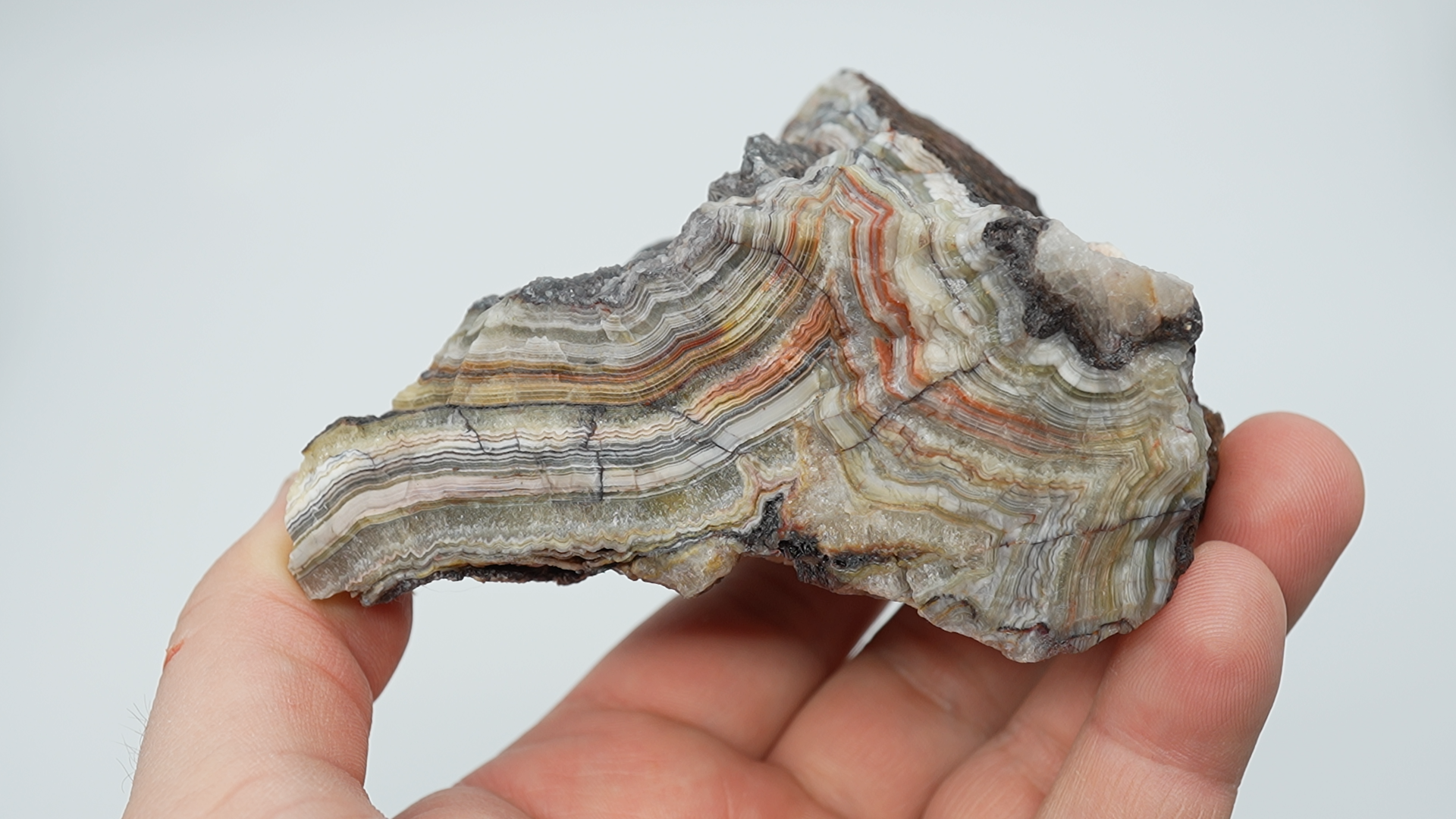 Crazy Lace Agate Rough - A Grade - LC-0072