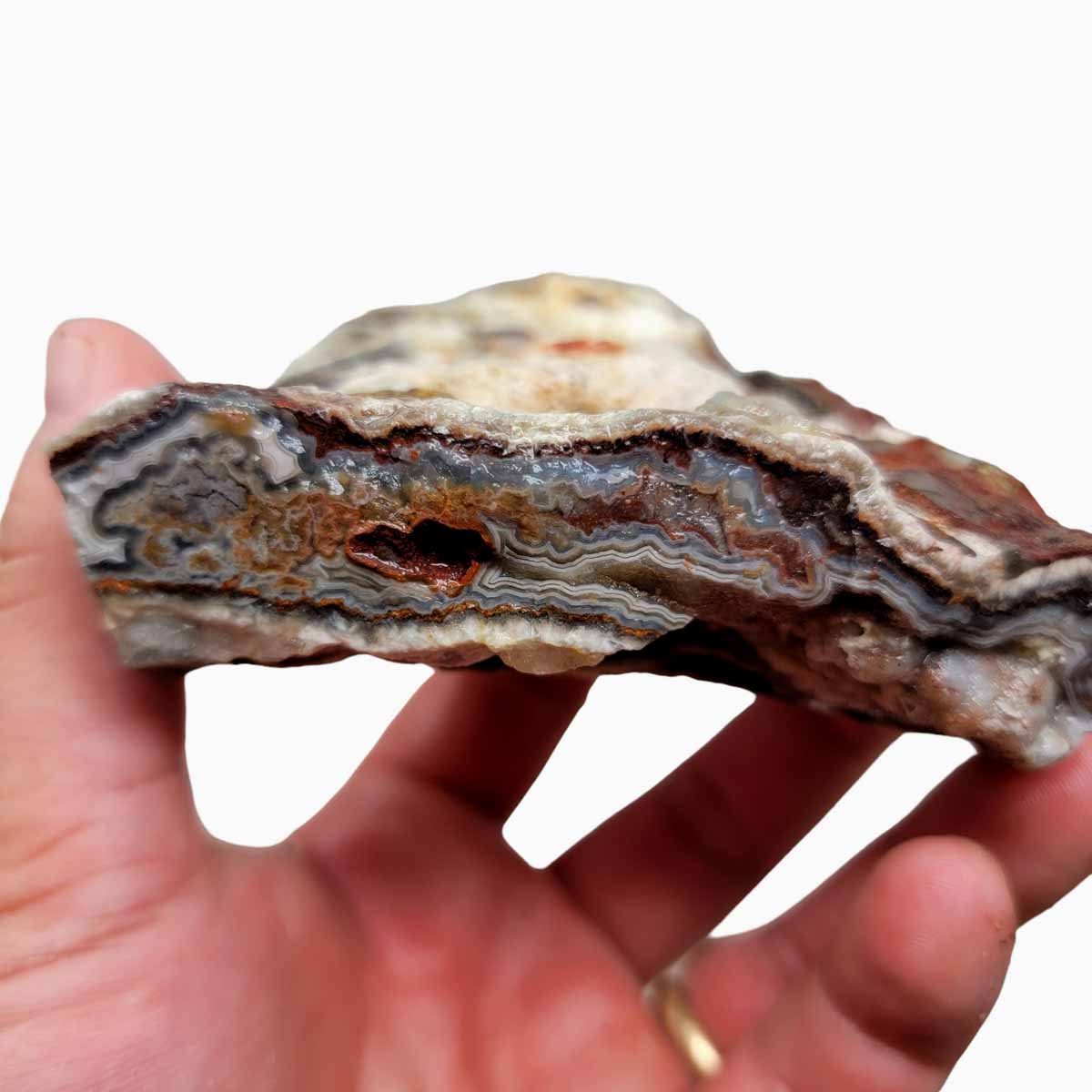 Laguna Lace Agate Cut Rough Chunk!