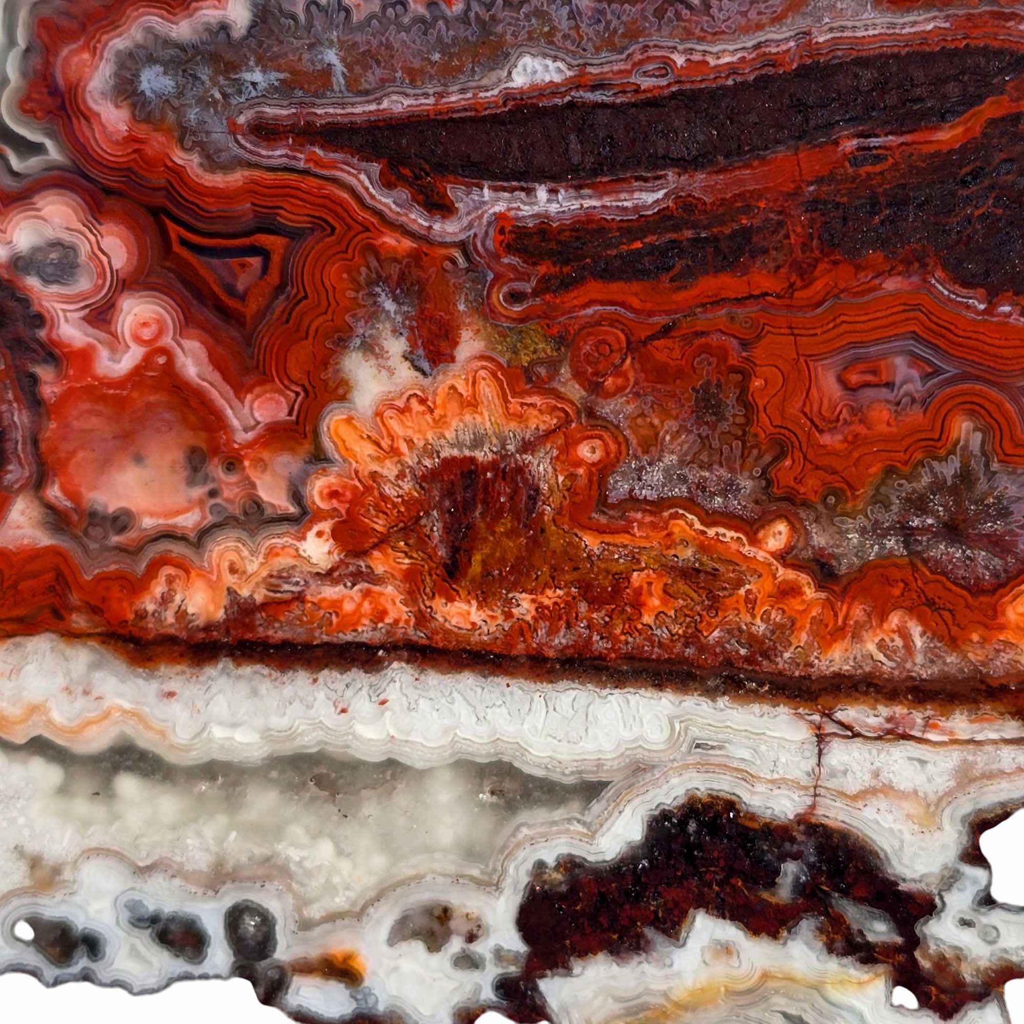 Laguna Lace Agate Slab Lapidary Stone Slice Cut Rock