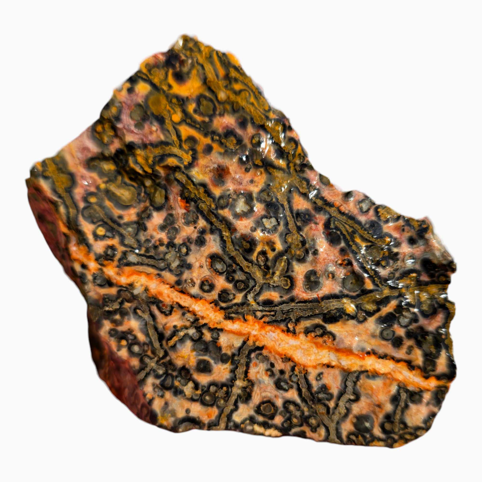 Leopard Skin Rhyolite Lapidary Cutting Rough Chunk