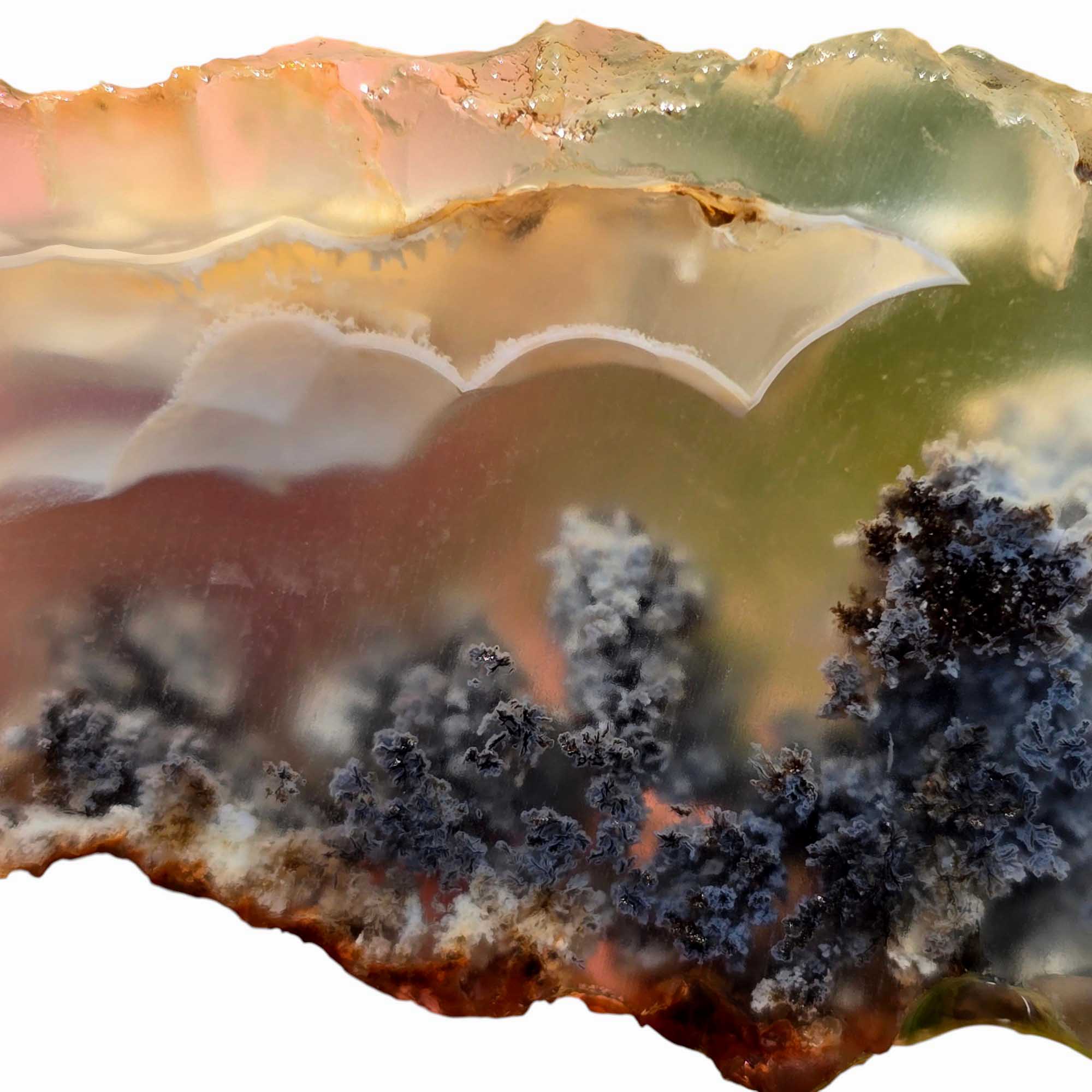 Ojinaga Plume Agate Agate Slab Lapidary Stone Slice Cut Rock