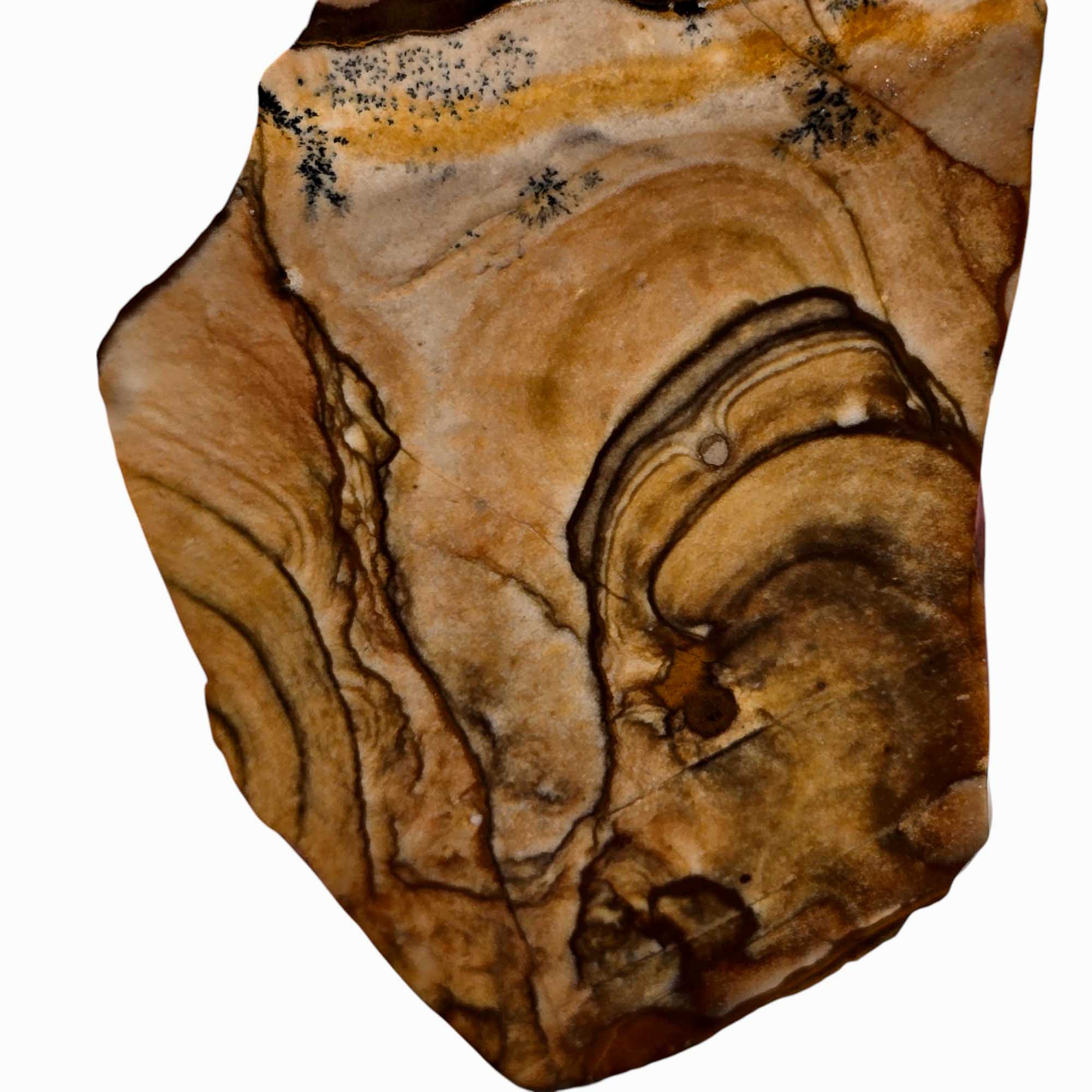 Old Stock Biggs Picture Jasper Slab Lapidary Stone Slice Cut Rock