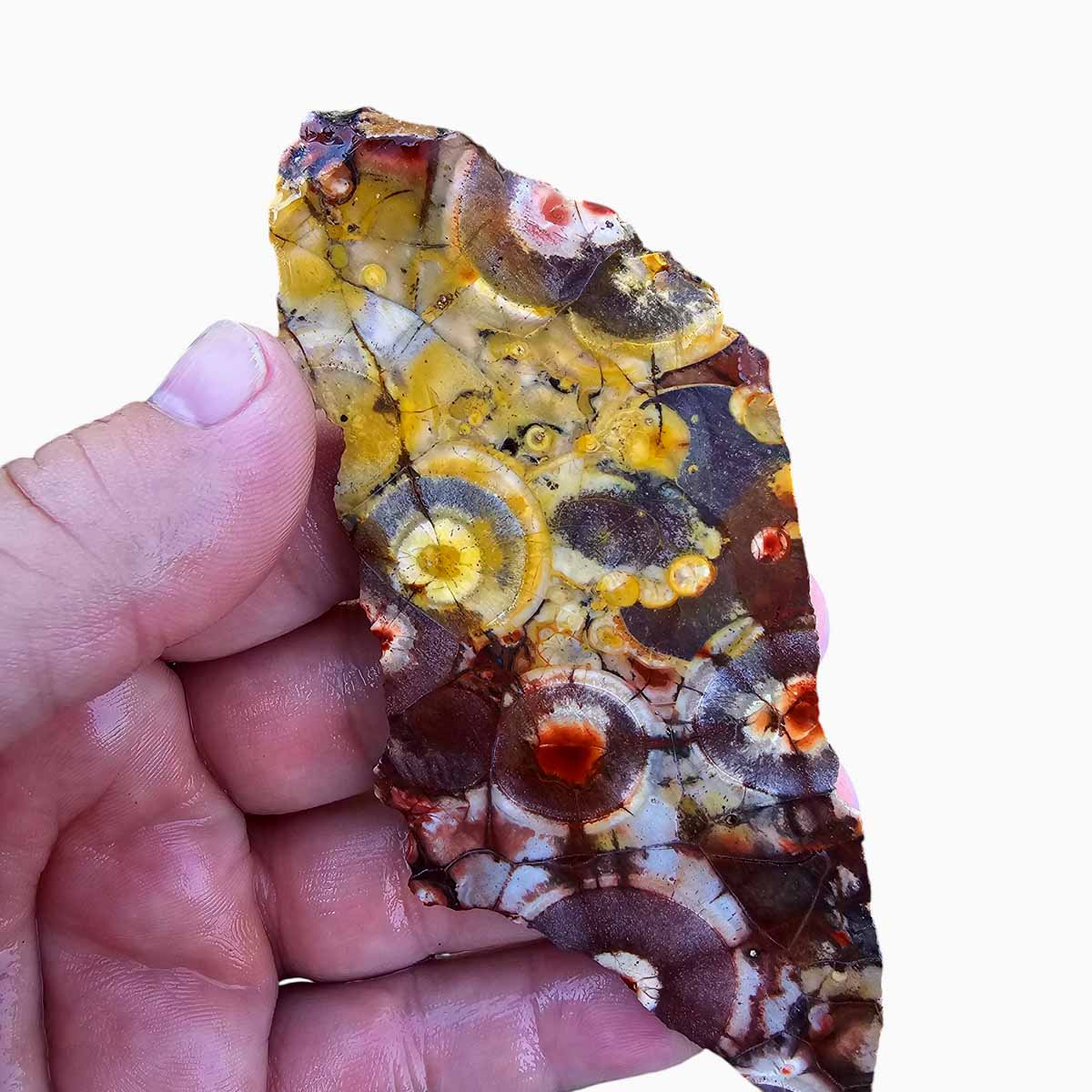 Birdseye Rhyolite Slab Lapidary Stone Slab