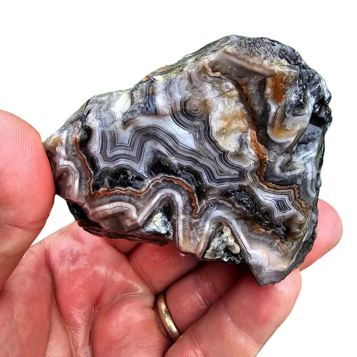 Old Vein Lace Agate Rough Chunk!