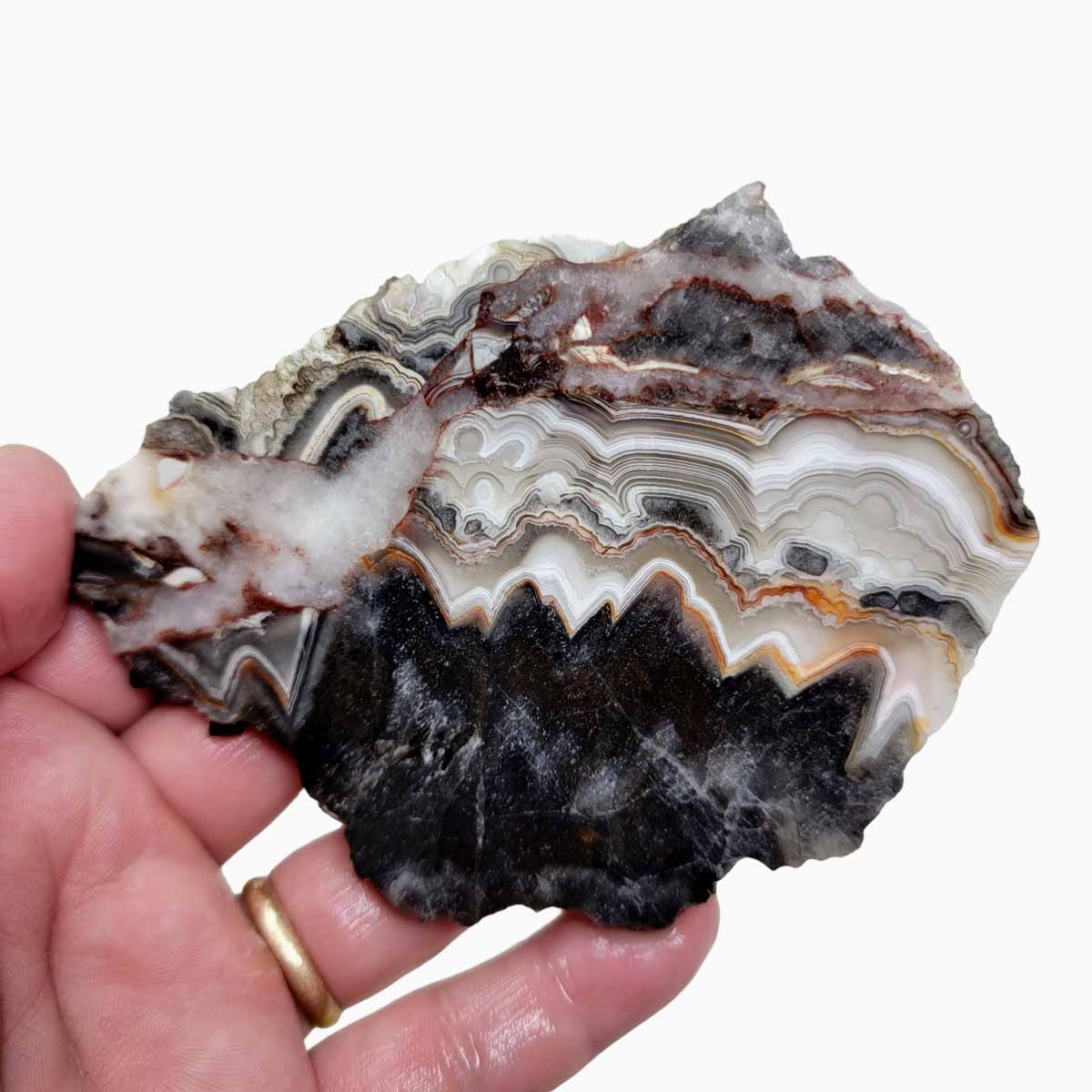 Old Vein Crazy Lace Agate Slab! Lapidary Stone Slab!