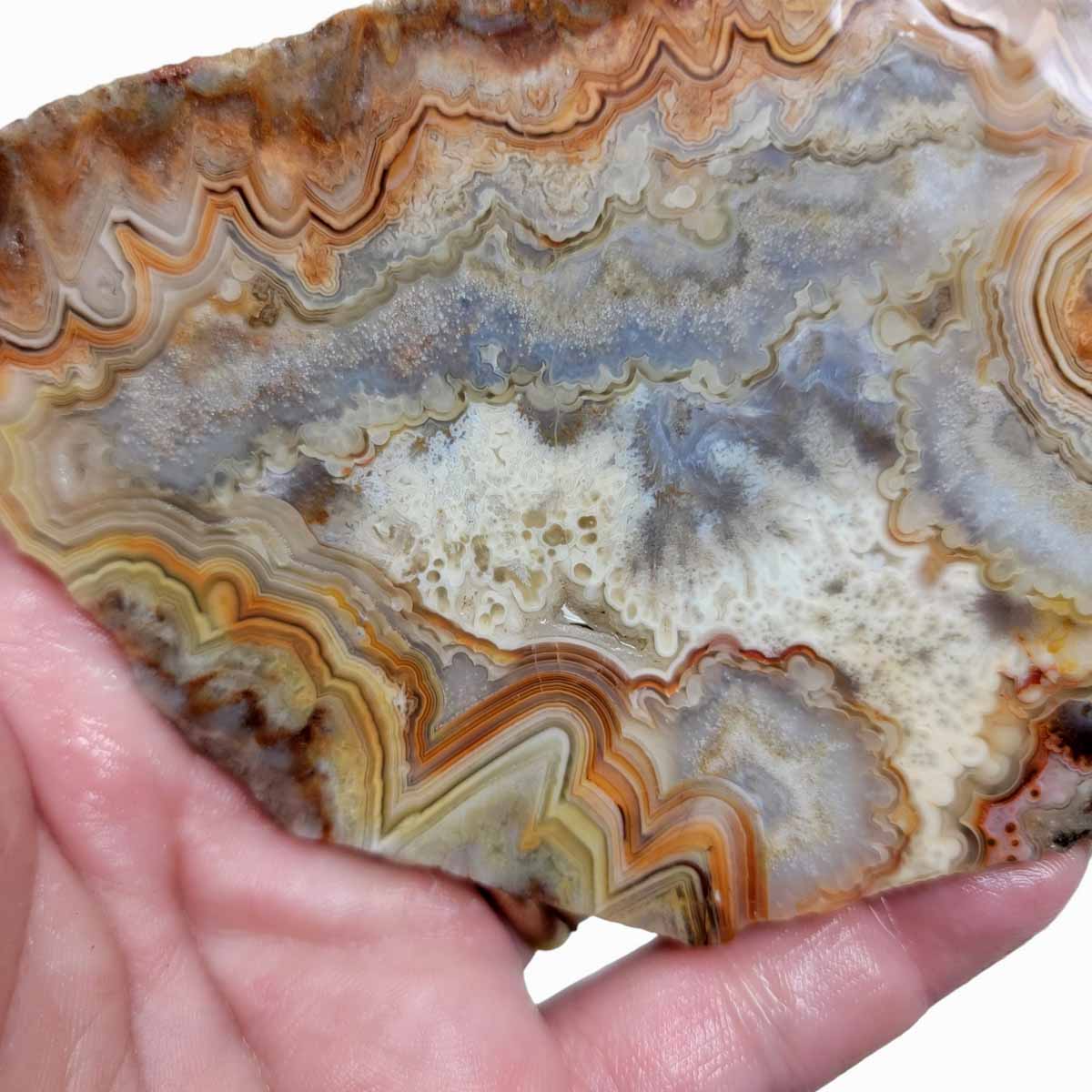 Crazy Lace Agate Slab! Lapidary Stone Slab!