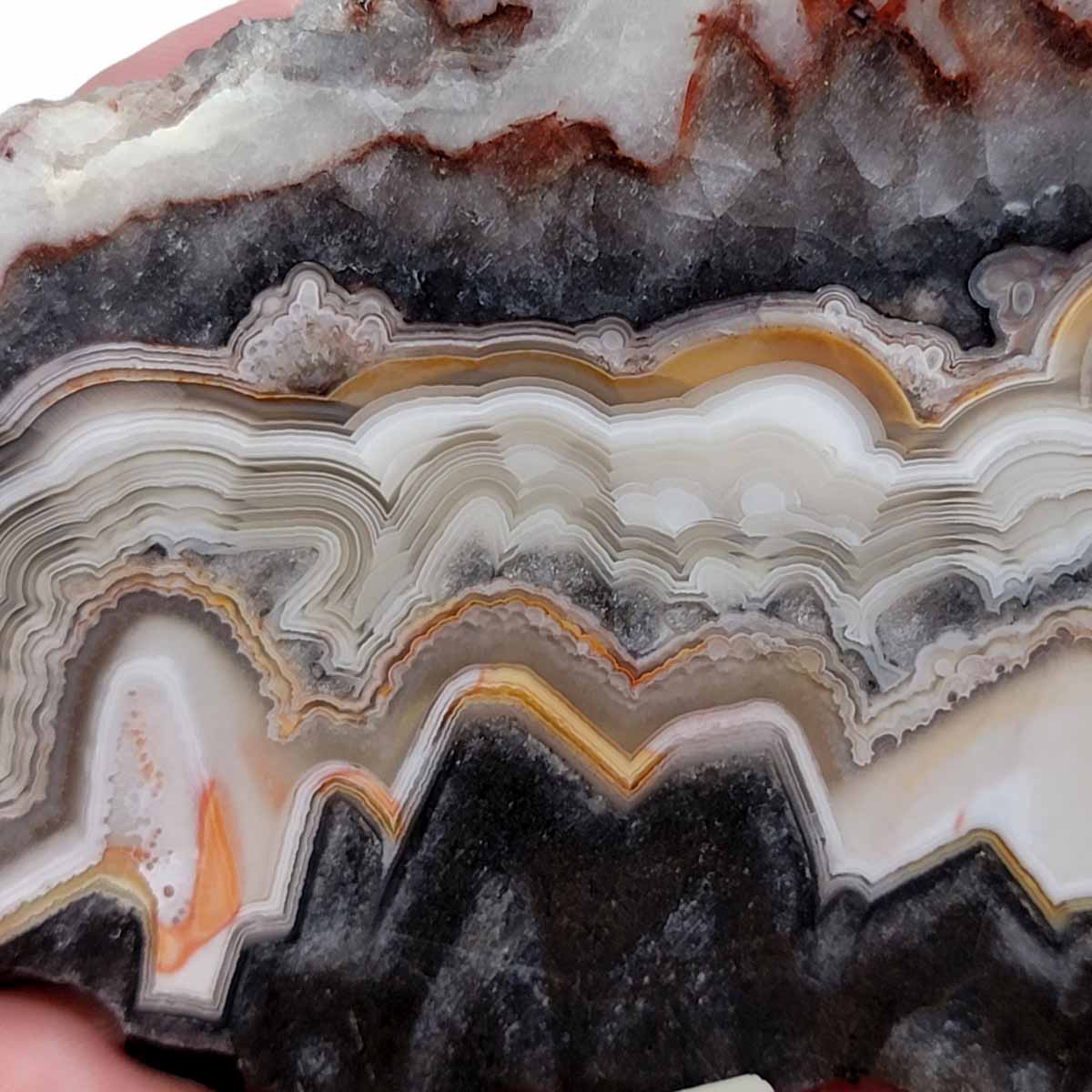 Old Vein Crazy Lace Agate Slab! Lapidary Stone Slab!