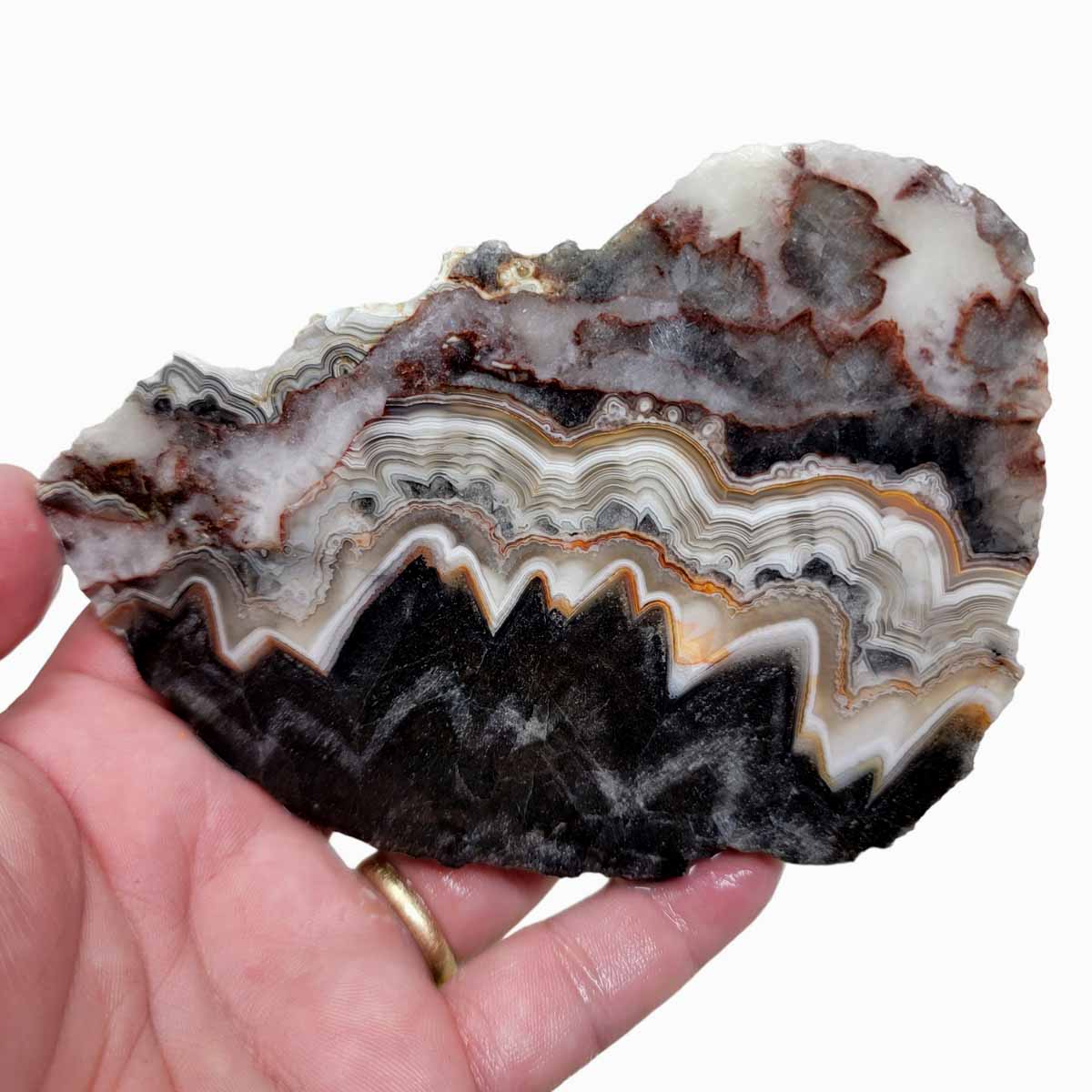 Old Vein Crazy Lace Agate Slab! Lapidary Stone Slab!