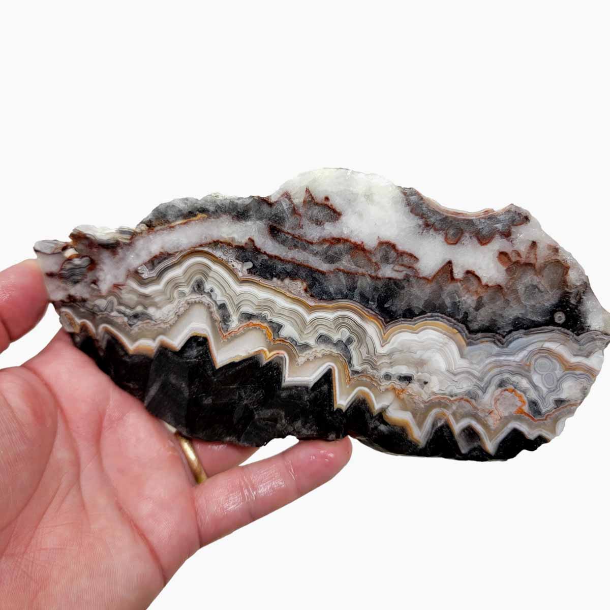 Old Vein Crazy Lace Agate Slab! Lapidary Stone Slab!