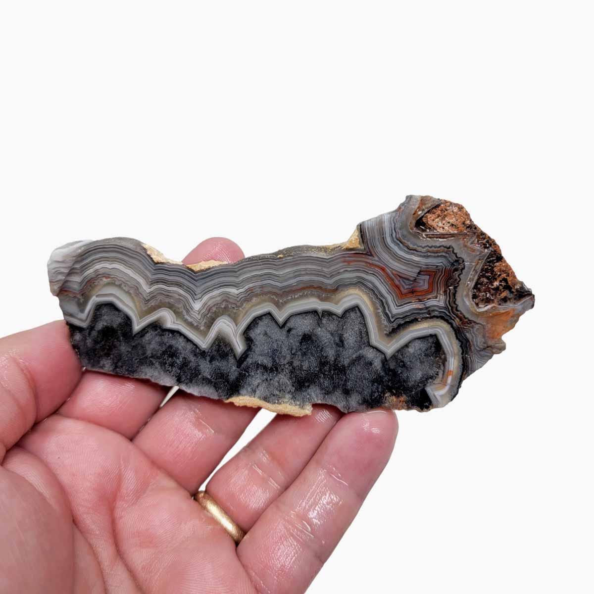 Old Vein Crazy Lace Agate Slab! Lapidary Stone Slab!