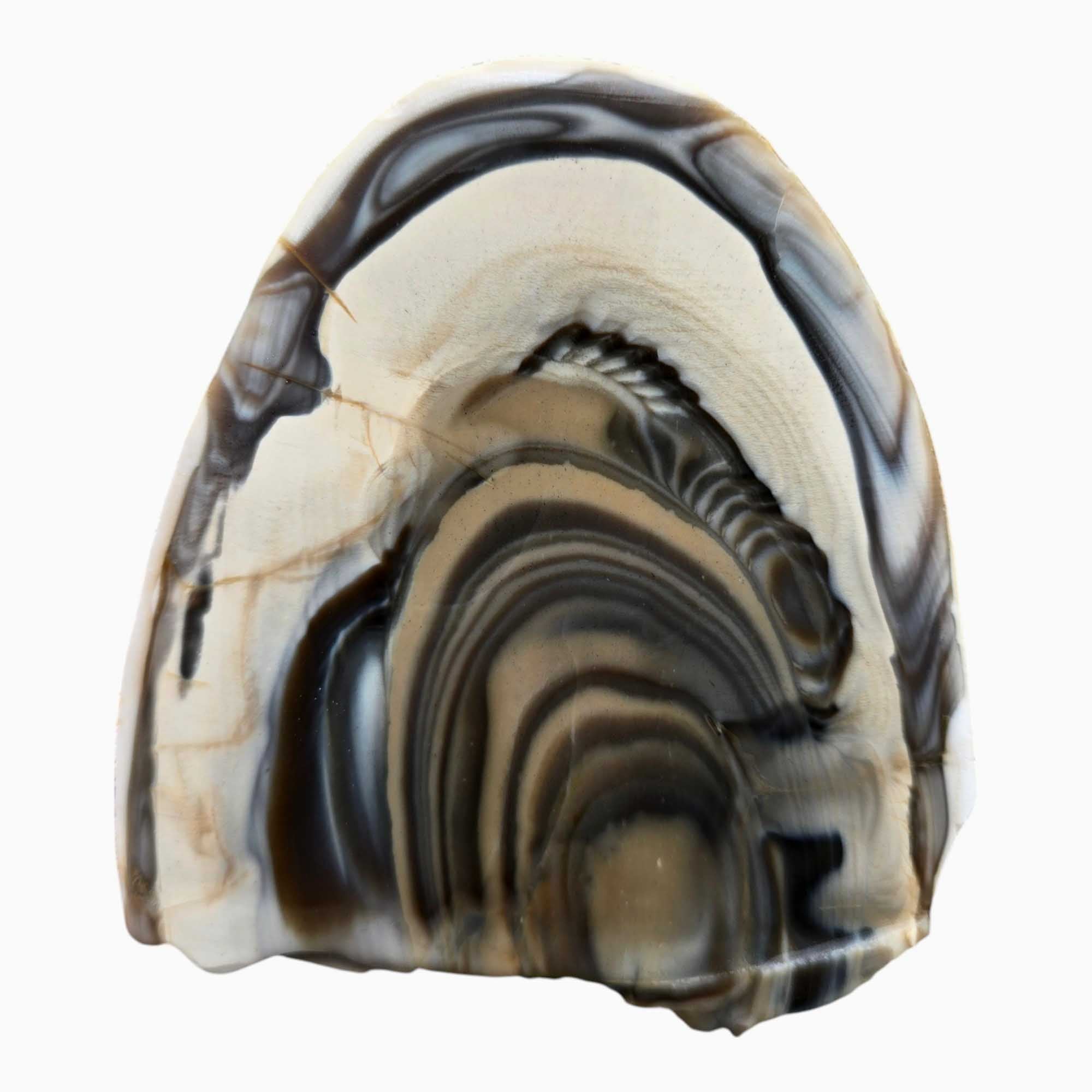 Polish Flint Orbicular Lapidary Cutting Rough Chunk Stone Cut Face