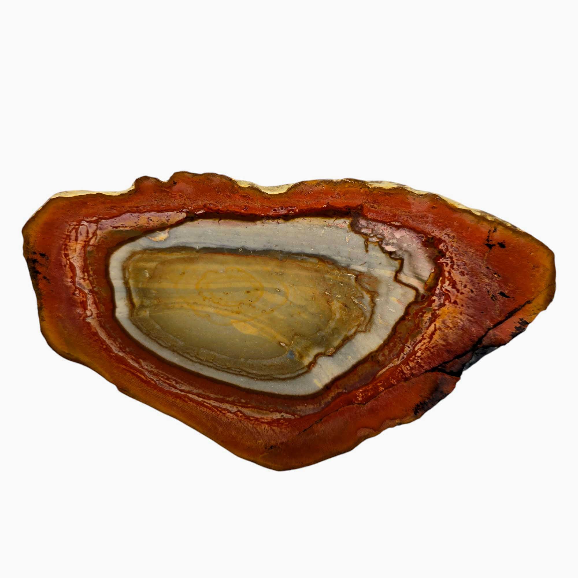 Polychrome Jasper Slab Lapidary Stone Slice Cut Rock