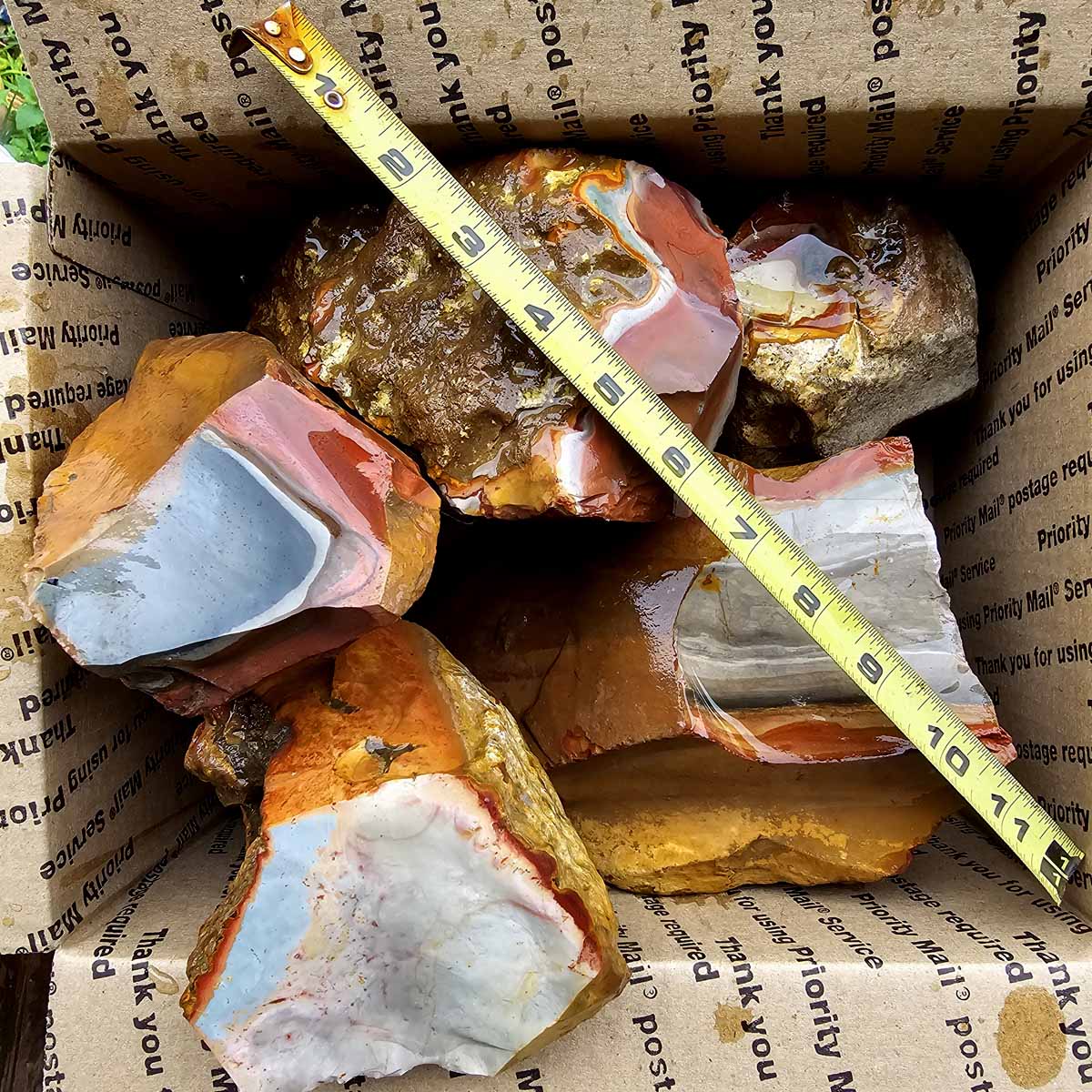 Polychrome Jasper Cutting Rough Flatrate!