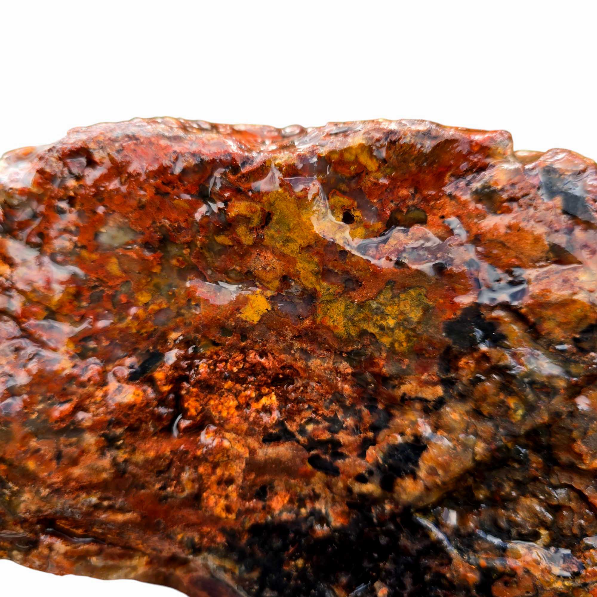 Old Stock Powell Butte Plume Agate Lapidary Cutting Rough Chunk