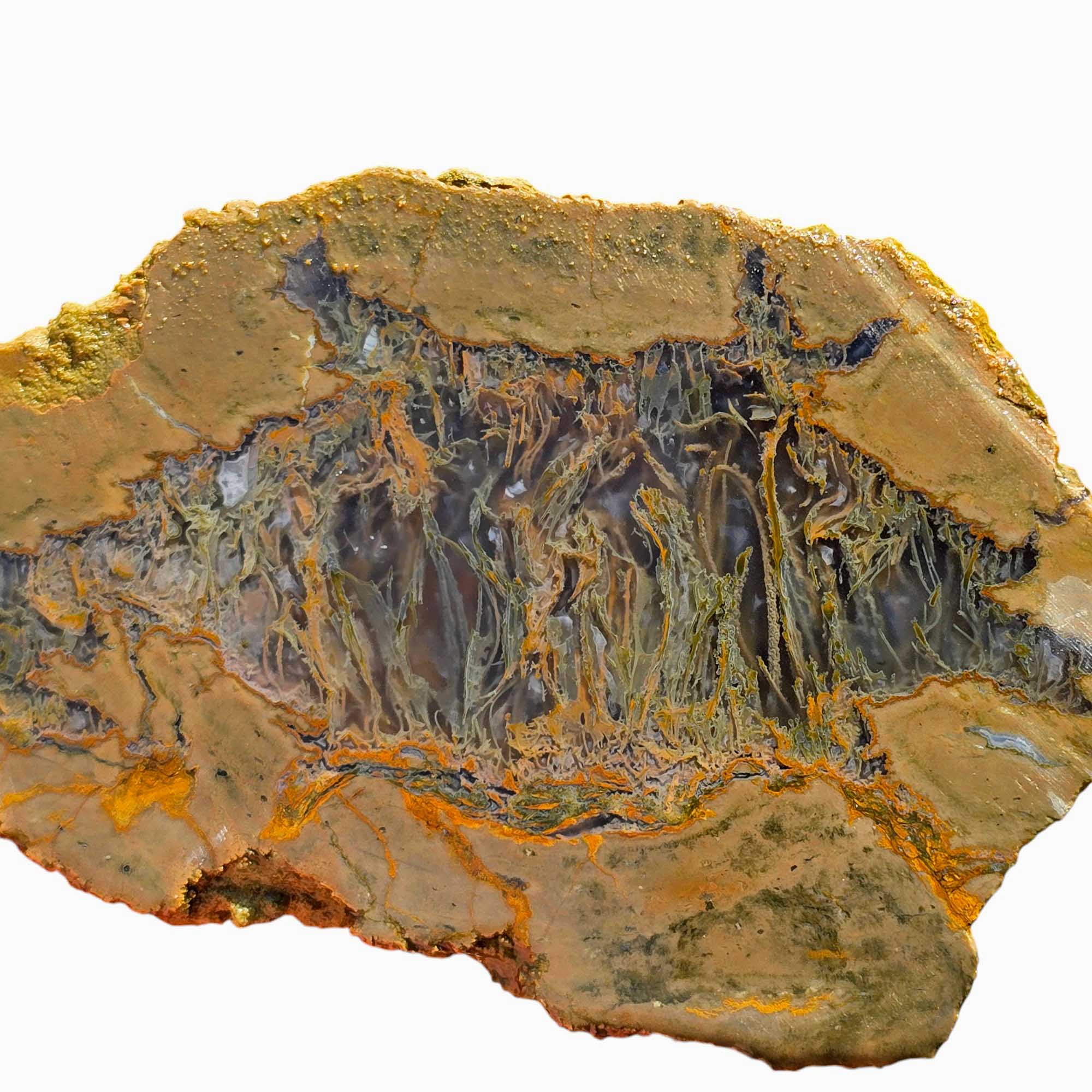 Priday Moss Bed Egg Rough Chunk Lapidary Stone Cut Face