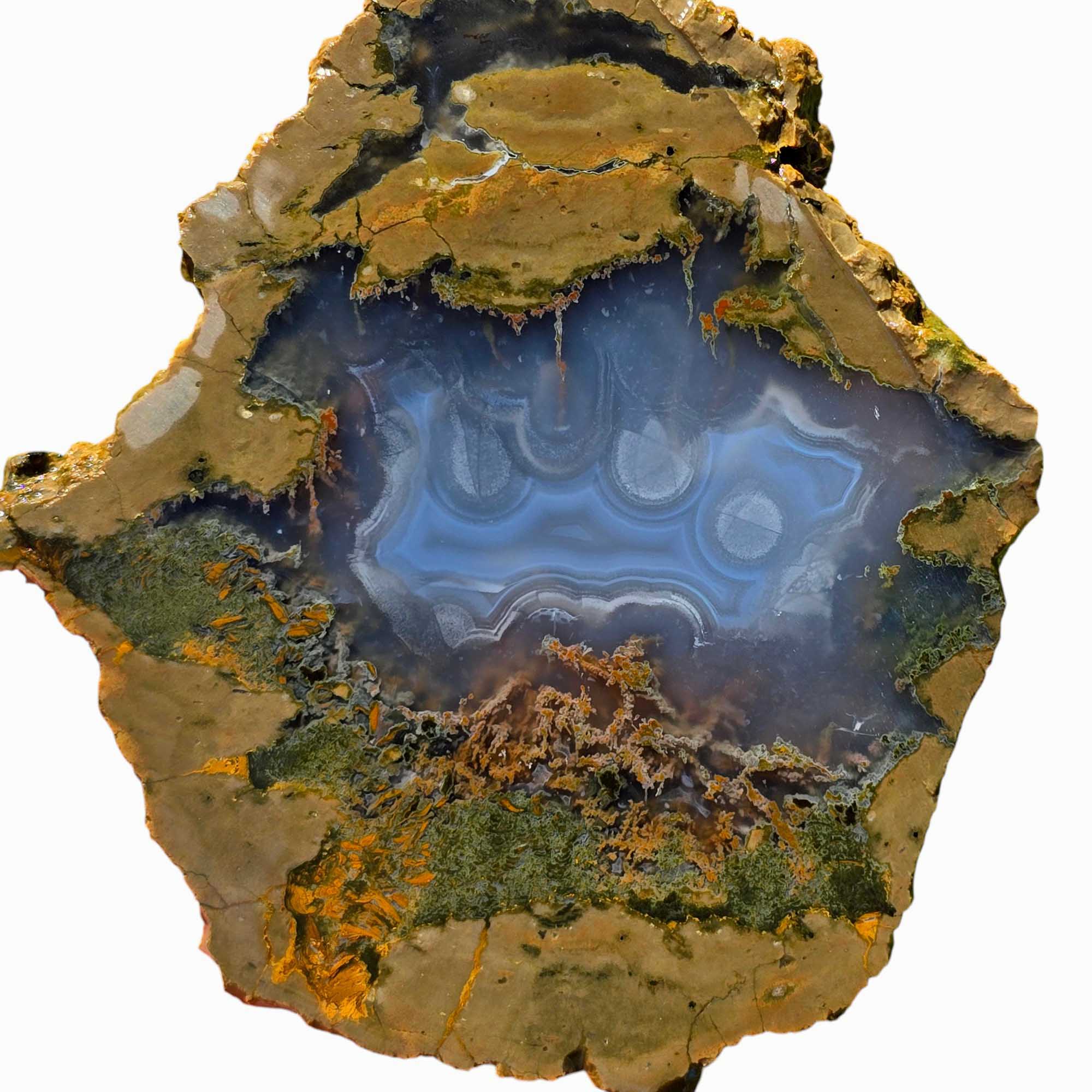 Priday Moss Bed Egg Rough Chunk Lapidary Stone Cut Face