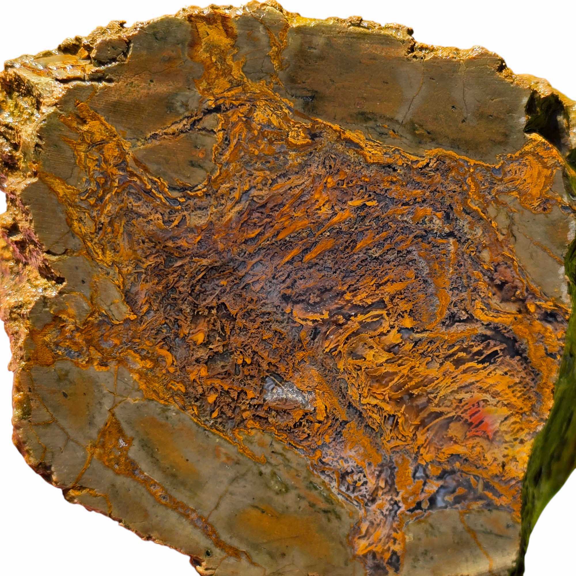 Priday Moss Bed Egg Rough Chunk Lapidary Stone Cut Face