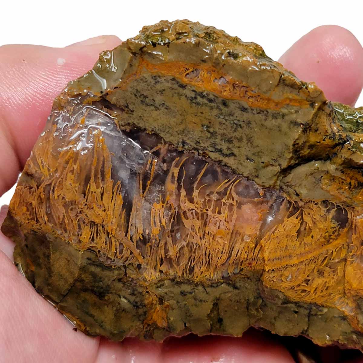 Priday Moss Bed Egg Rough Chunk!