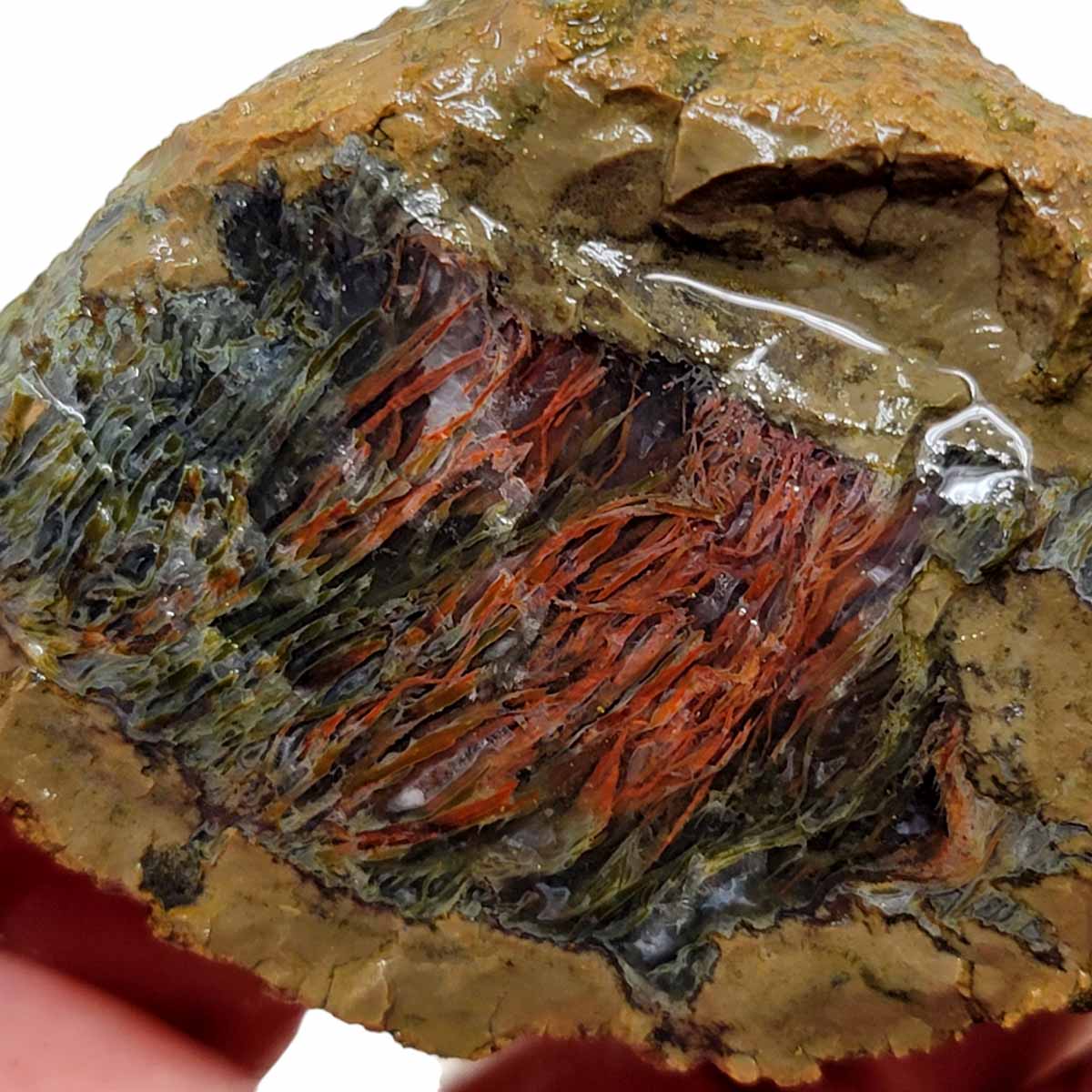 Priday Moss Bed Egg Rough Chunk!