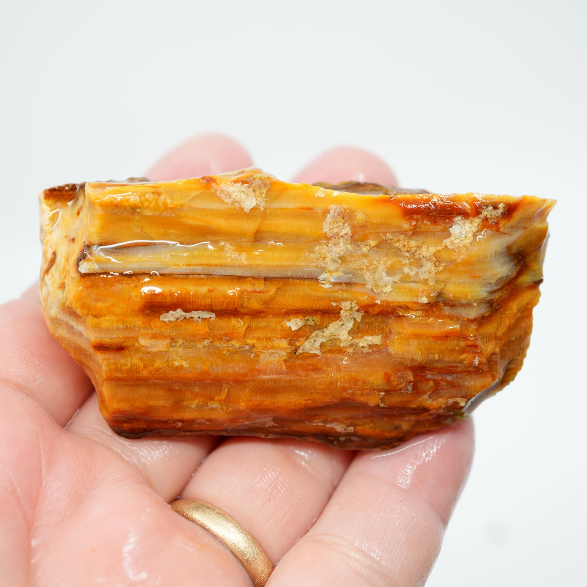 Mystery Opalized Petrified Wood Rough - Wavy Pattern Limb