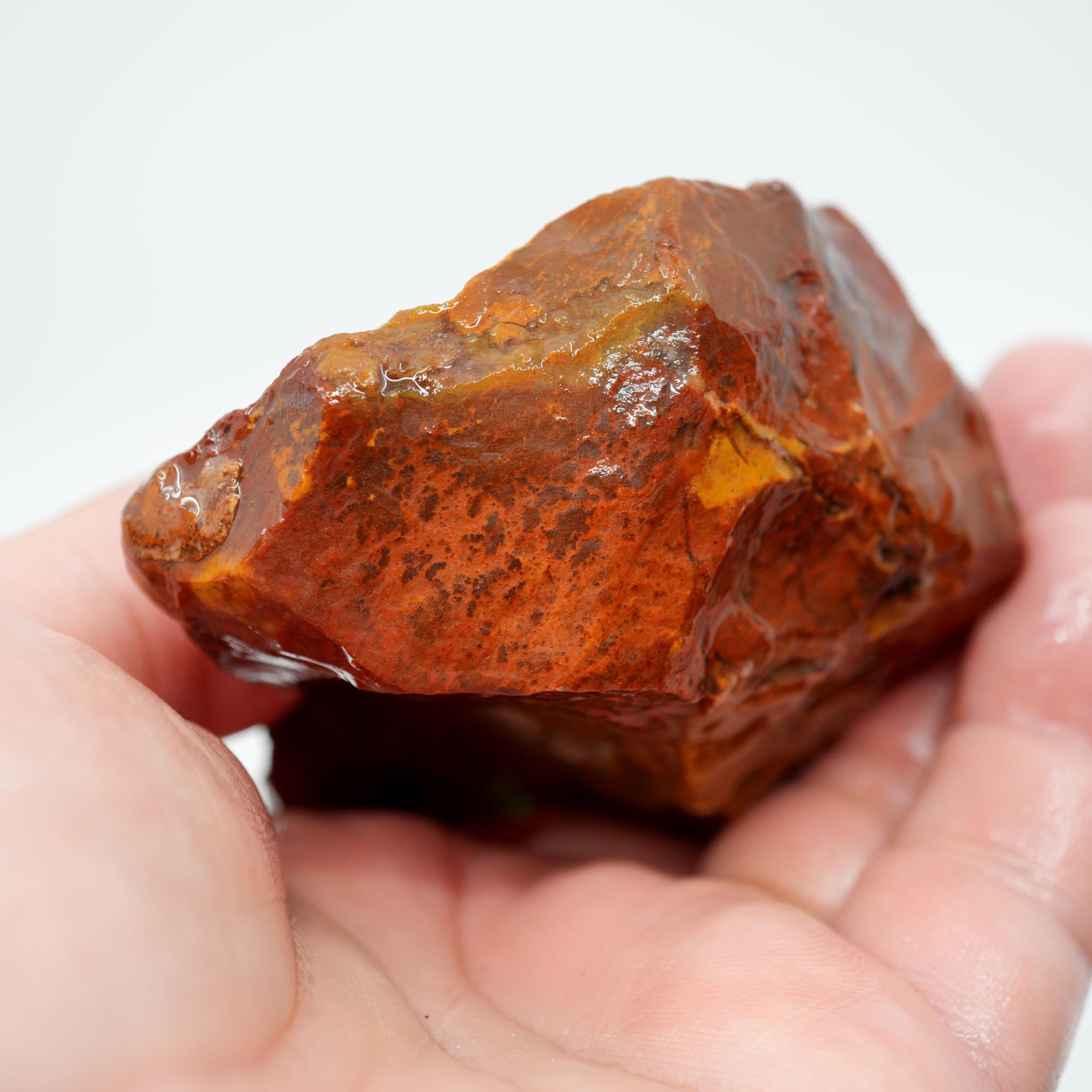 Carey Plume Agate Rough - Bright Red with Druzy Void and Plume Potential
