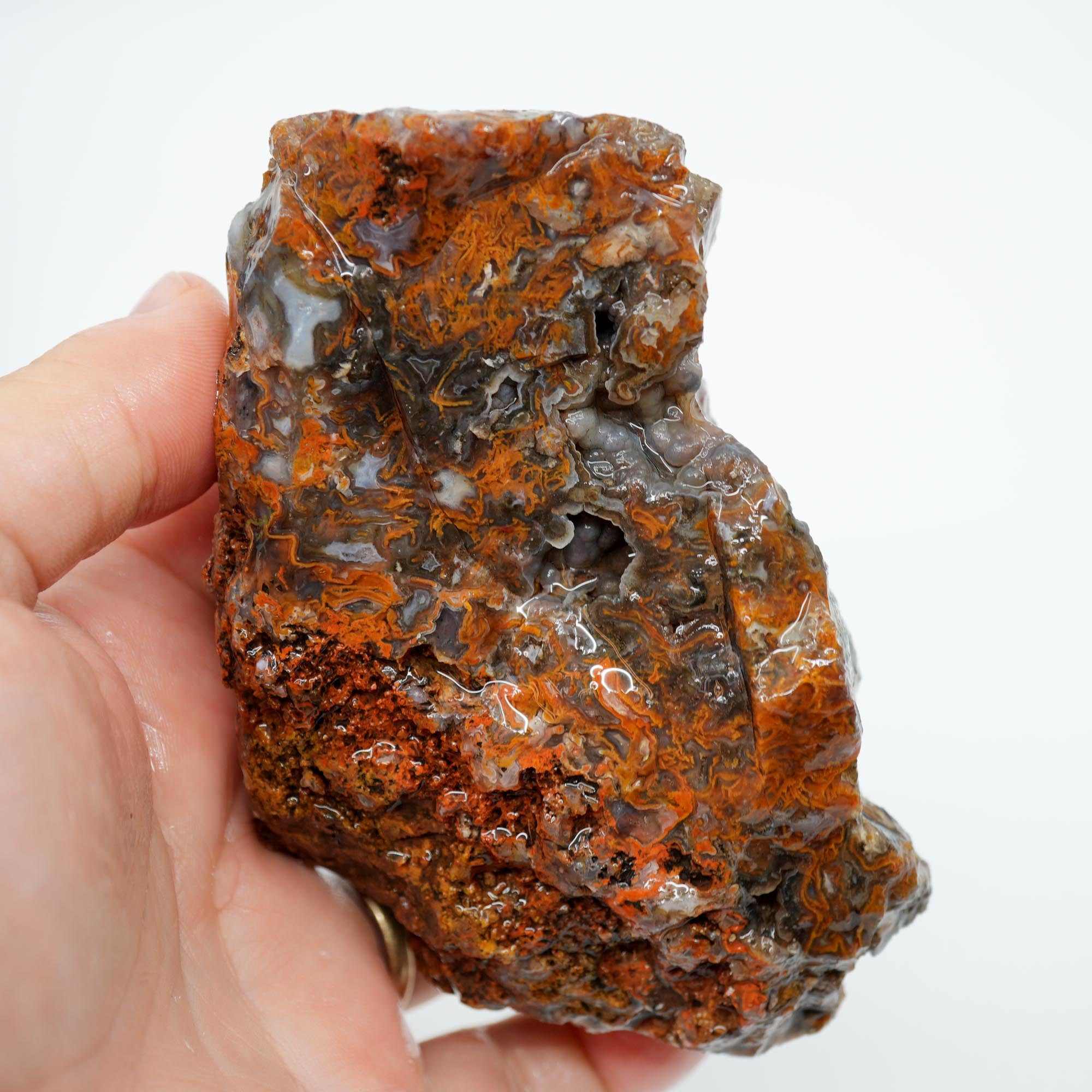 San Carlos Agate Rough - Bright Orange on Dark Agate with Botryoidal