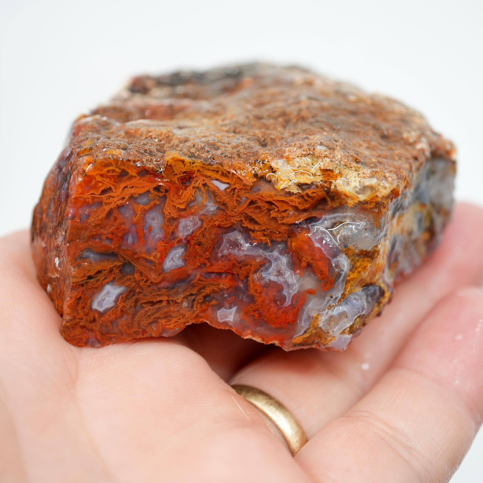 San Carlos Agate Rough - Well-Defined Orange Moss High-Grade Plate