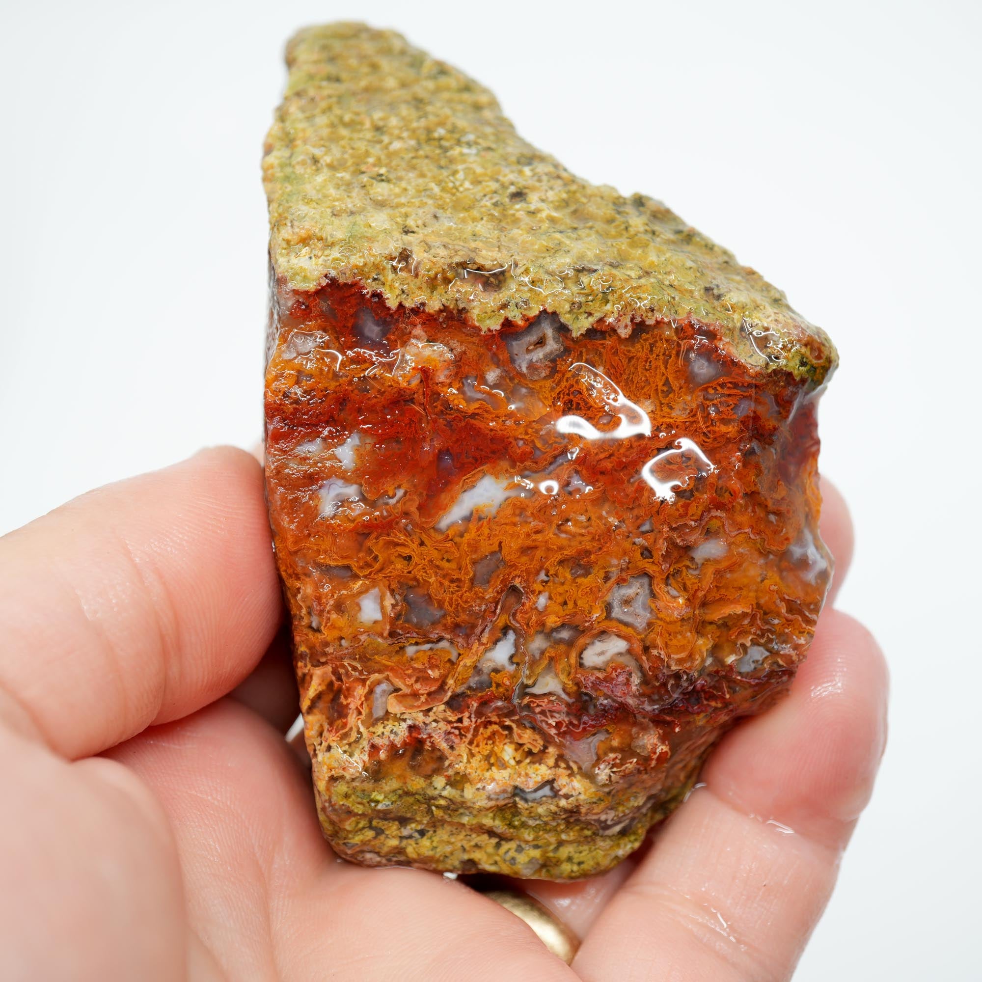 San Carlos Agate Rough - Orange with Blue Agate and Red Moss