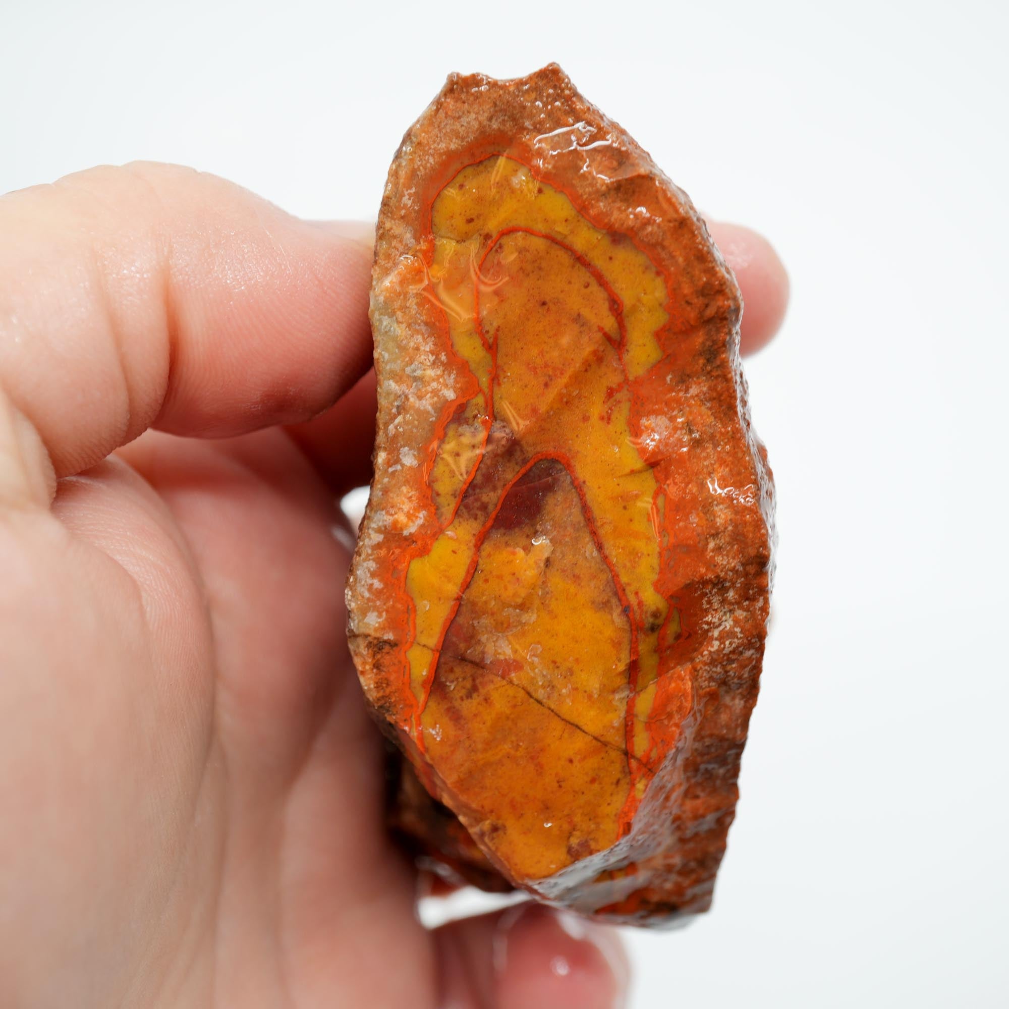 Alabama Paint Agate Rough - Gorgeous Orange with Red Orbicular Outline