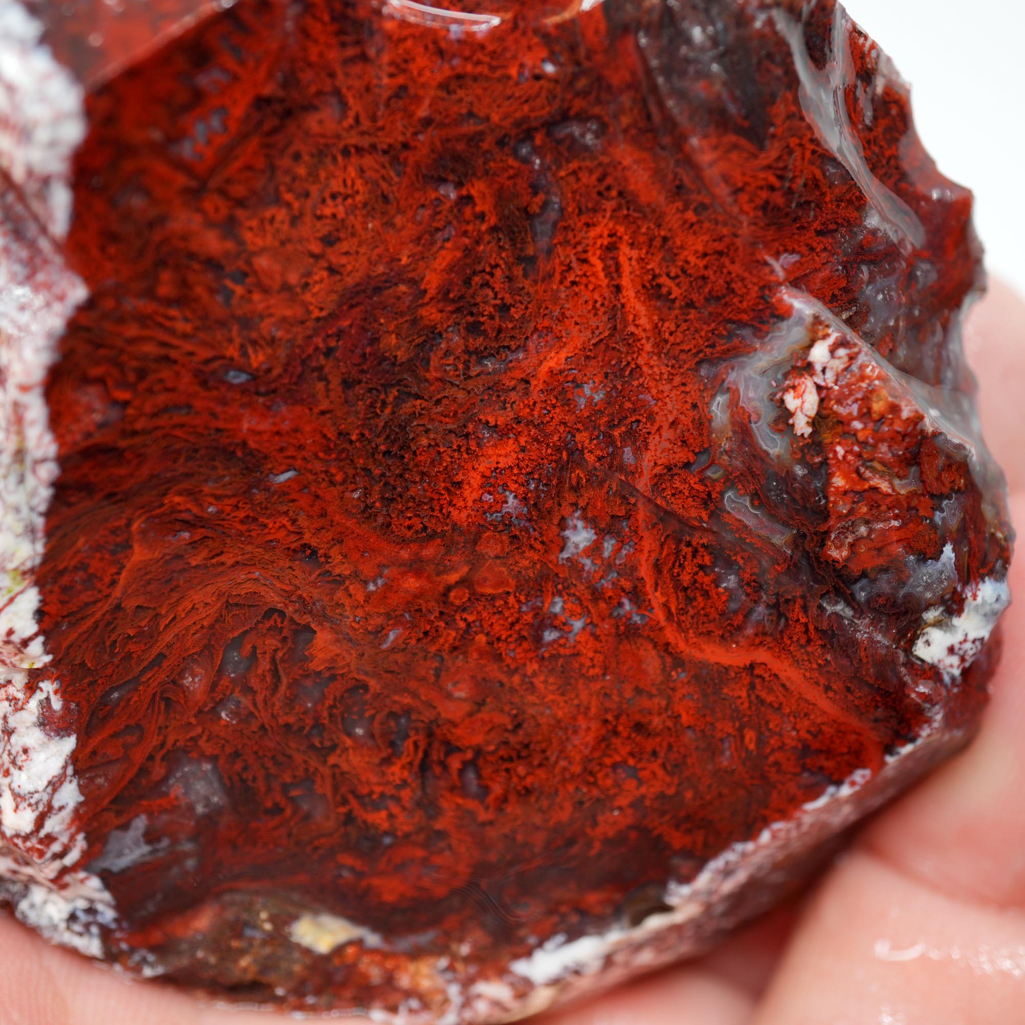 San Carlos Agate Rough - Very Bright Red with High Contrast Moss