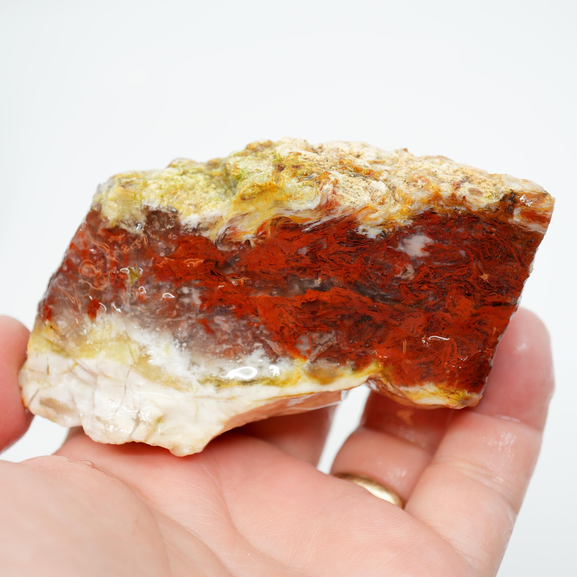 Red Velvet Agate Rough - Bright Red Pattern with Opalite Top Trimmer