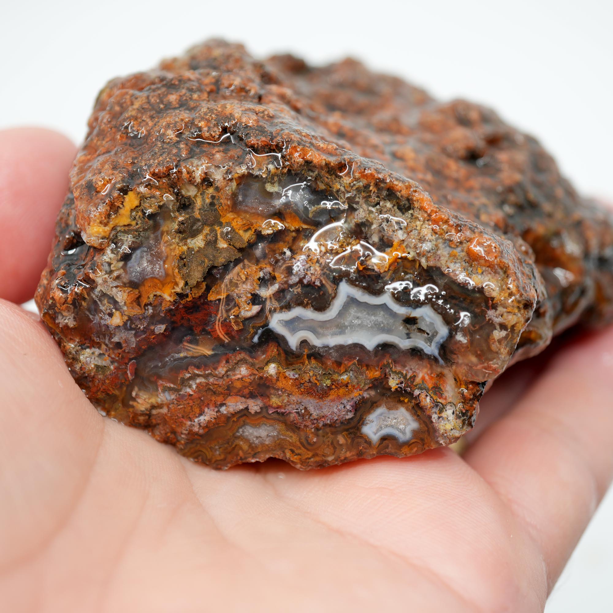 San Carlos Agate Rough - Plate with Fortification and Moss